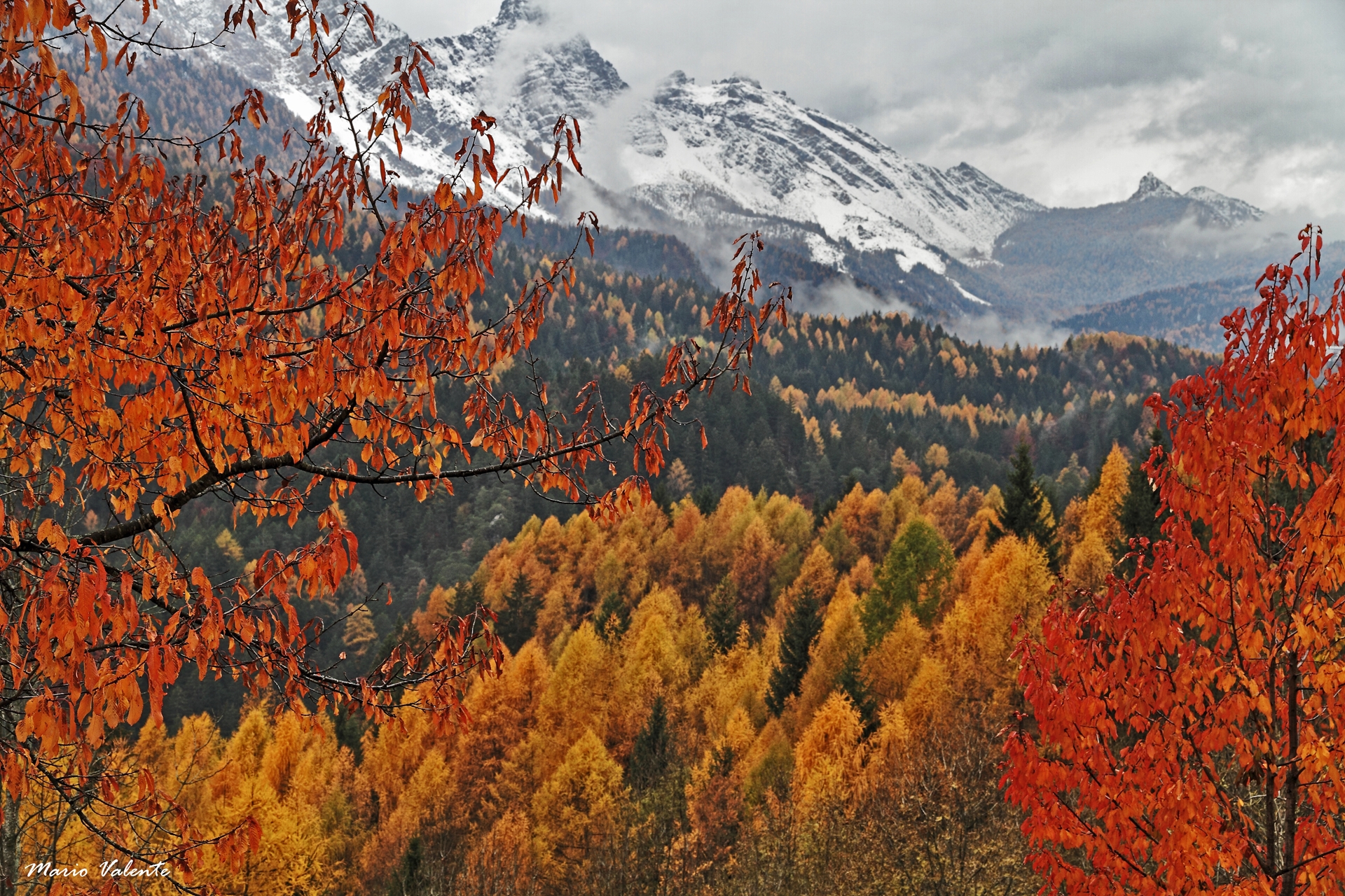 Autunno in Cadore