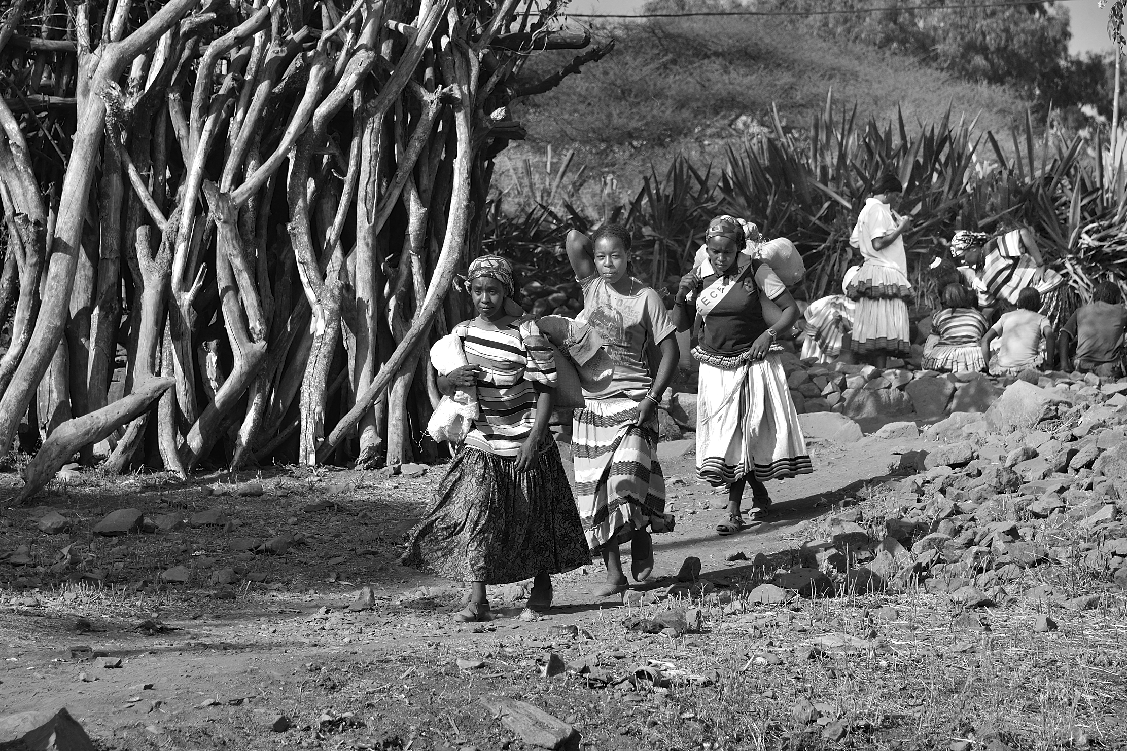 Etiopia 2015 - Nel mercato di Konso