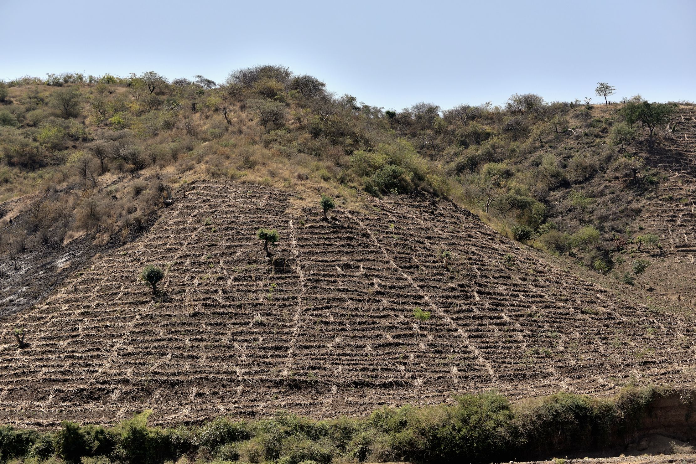 Etiopia 2015 - Terrazzamenti agricoli
