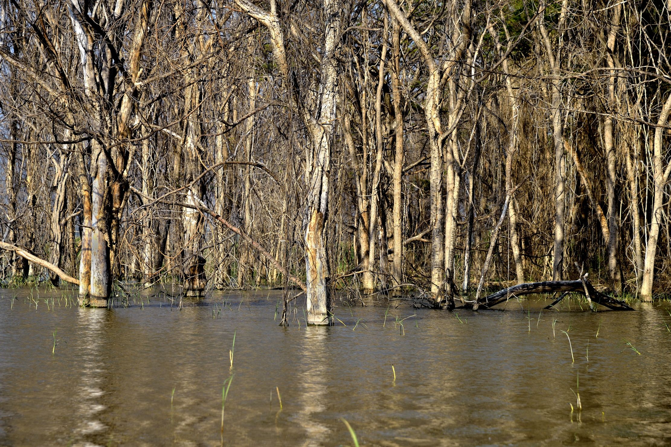 Etiopia 2015 - Sul lago Chamo