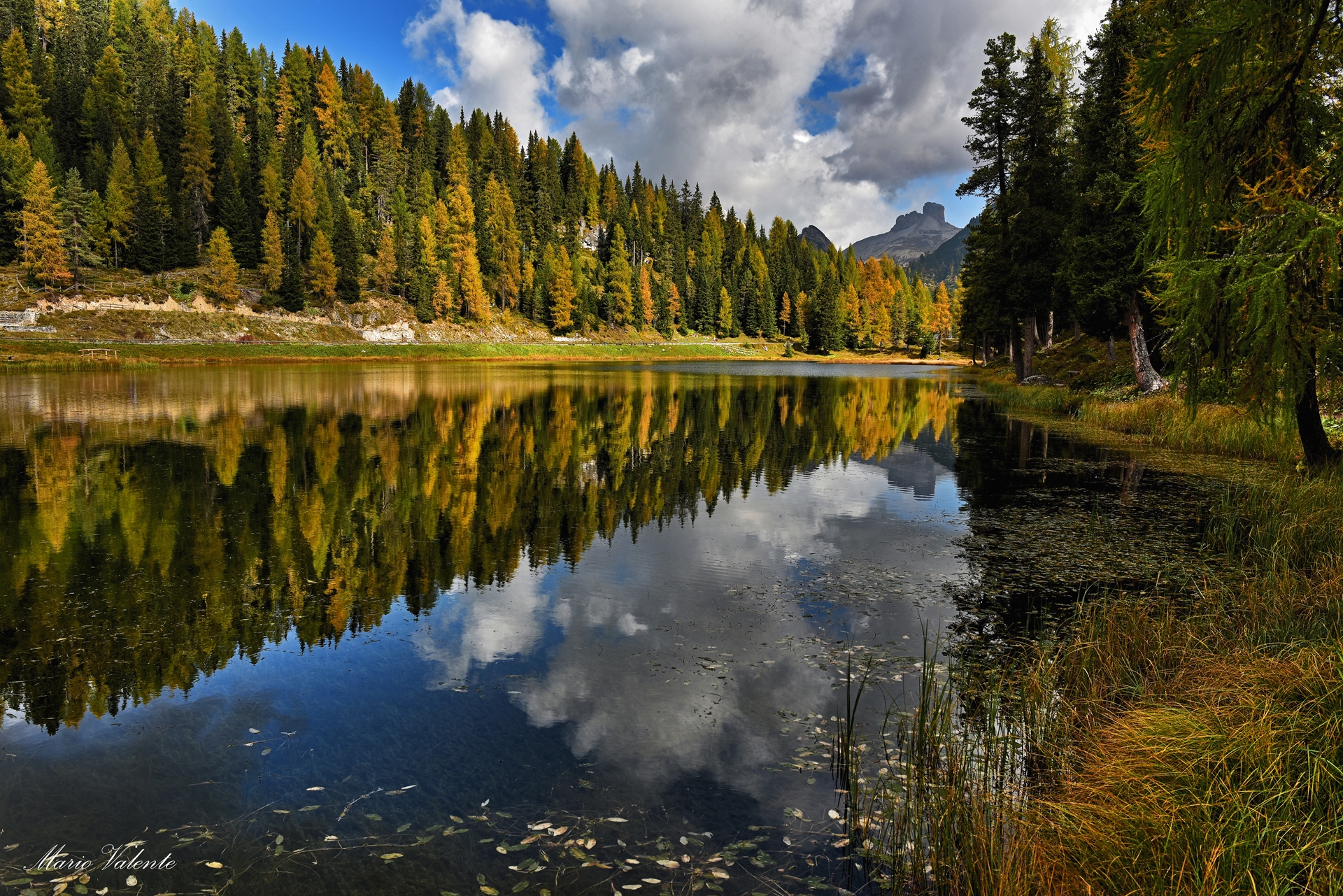 Autumnal view to the north