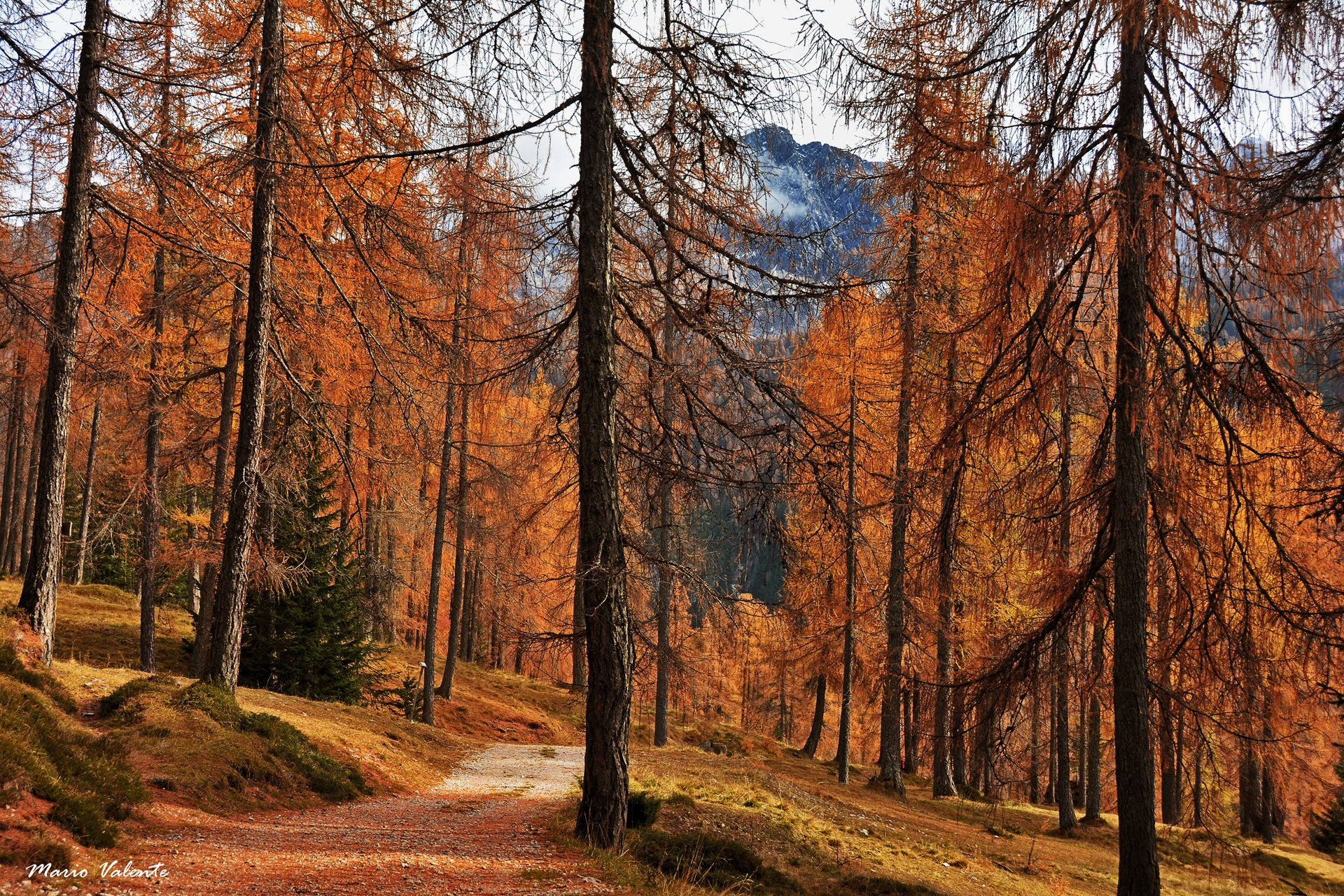Incantevole passeggiata