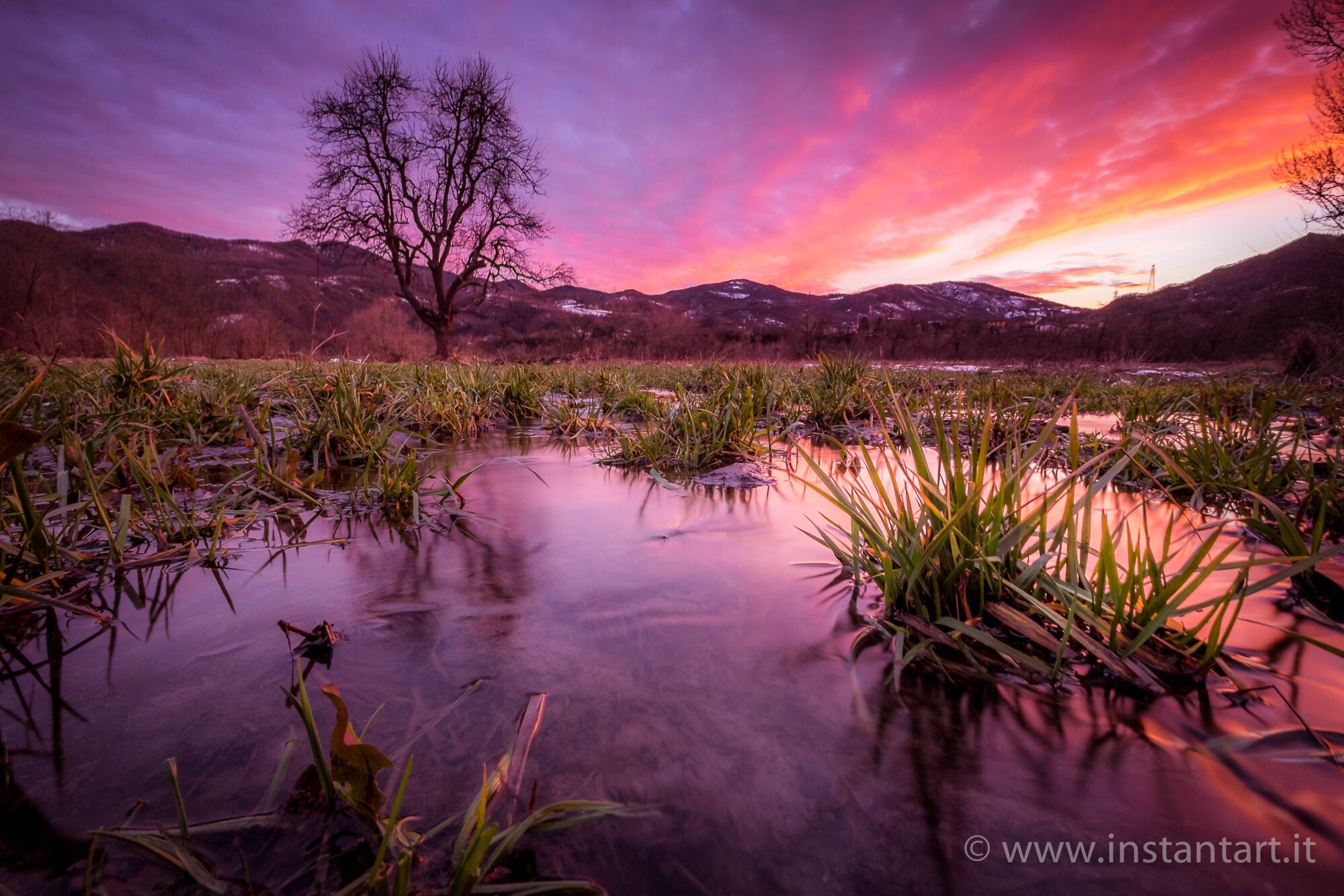 The africa in Piedmont.