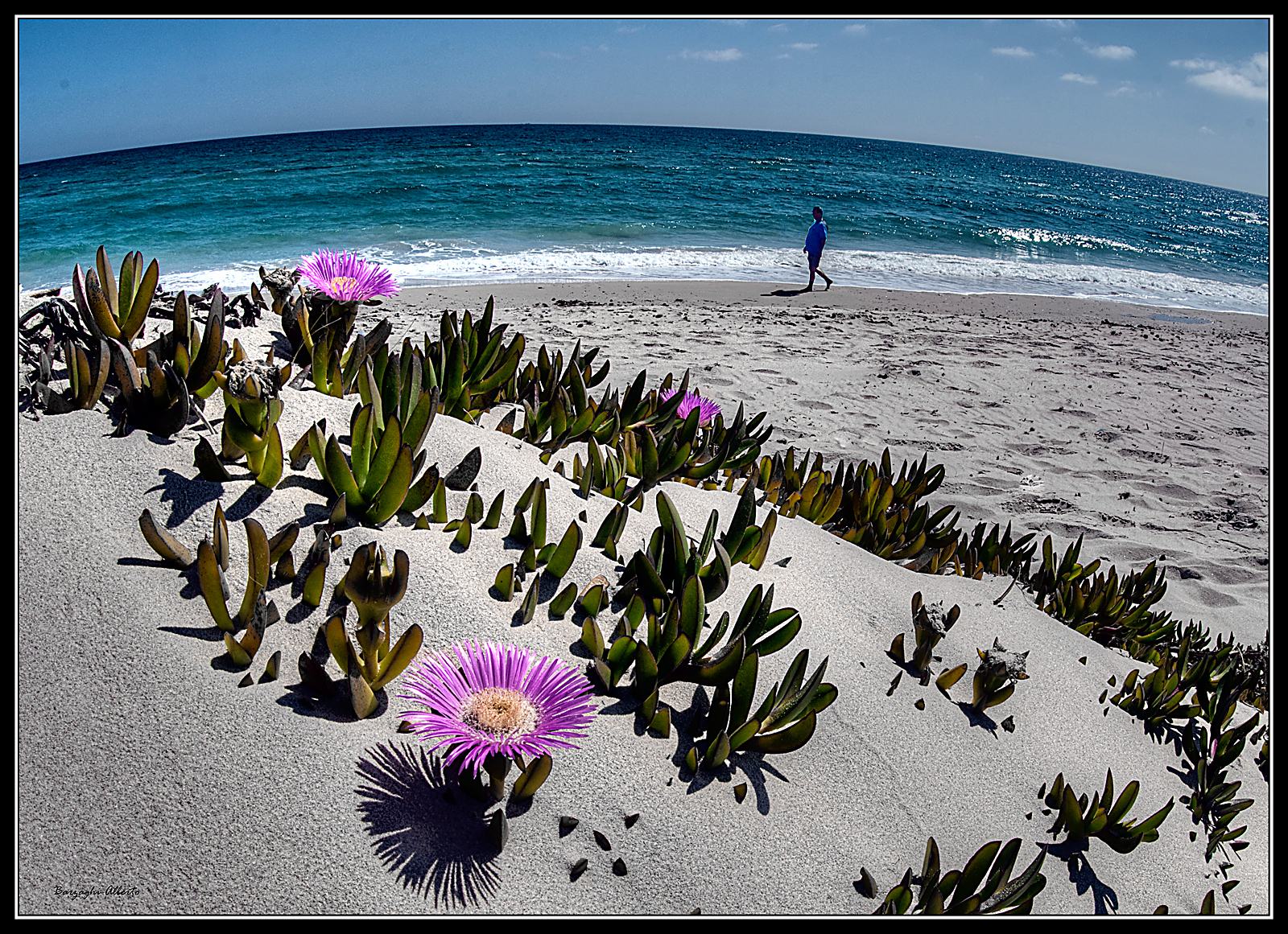 playing with fisheye