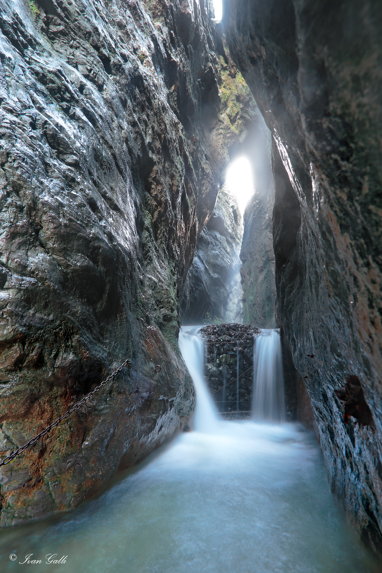 Ravine Cain Valley Bova, Grass (co)