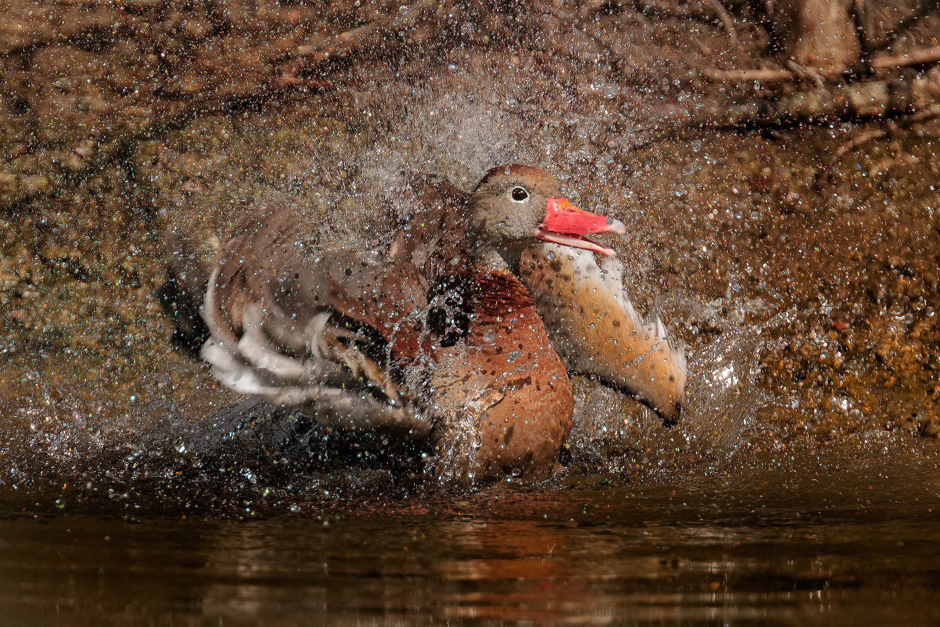 Water fireworks .... !!