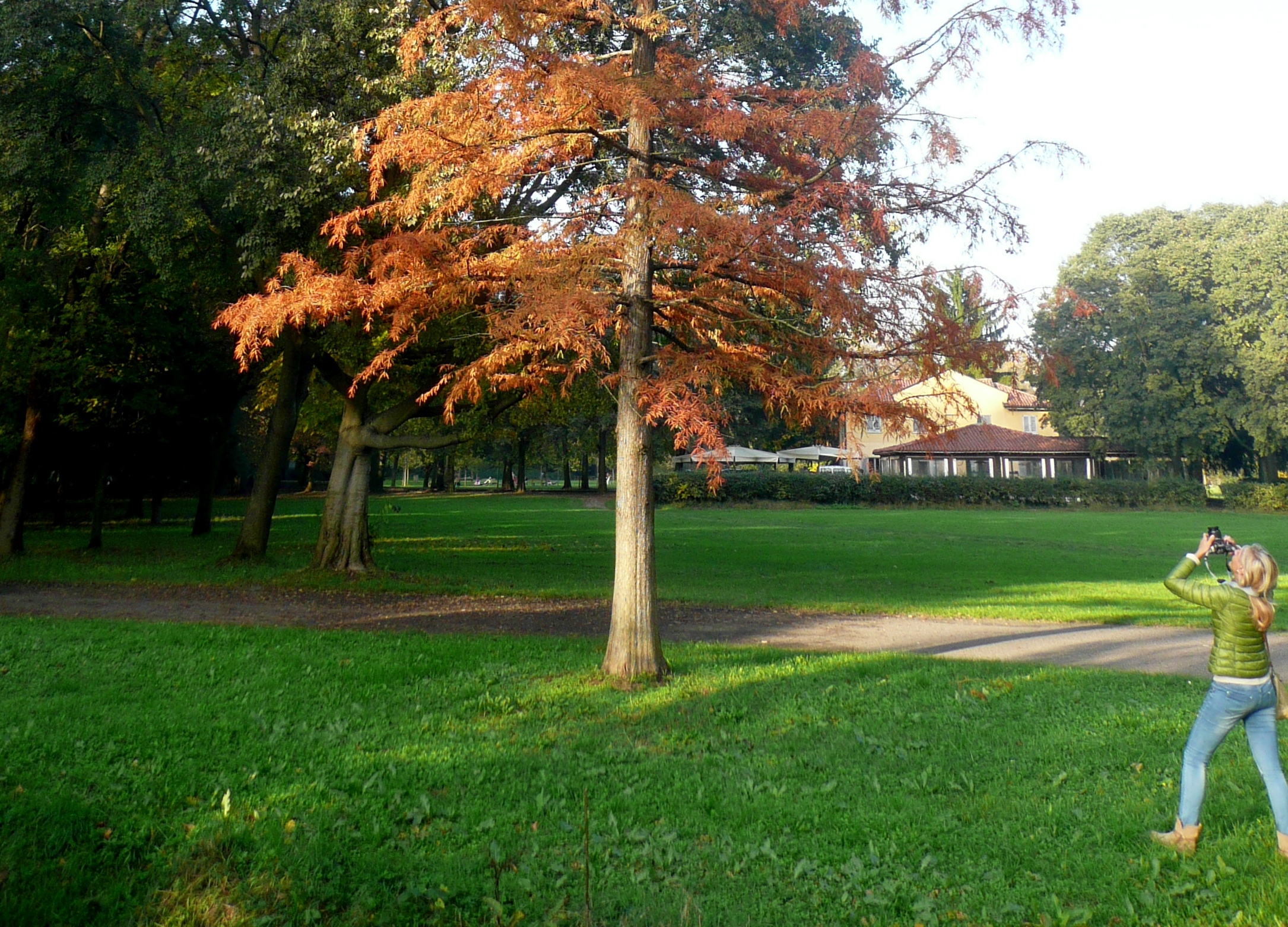 inseguendo lo scoiattolo...