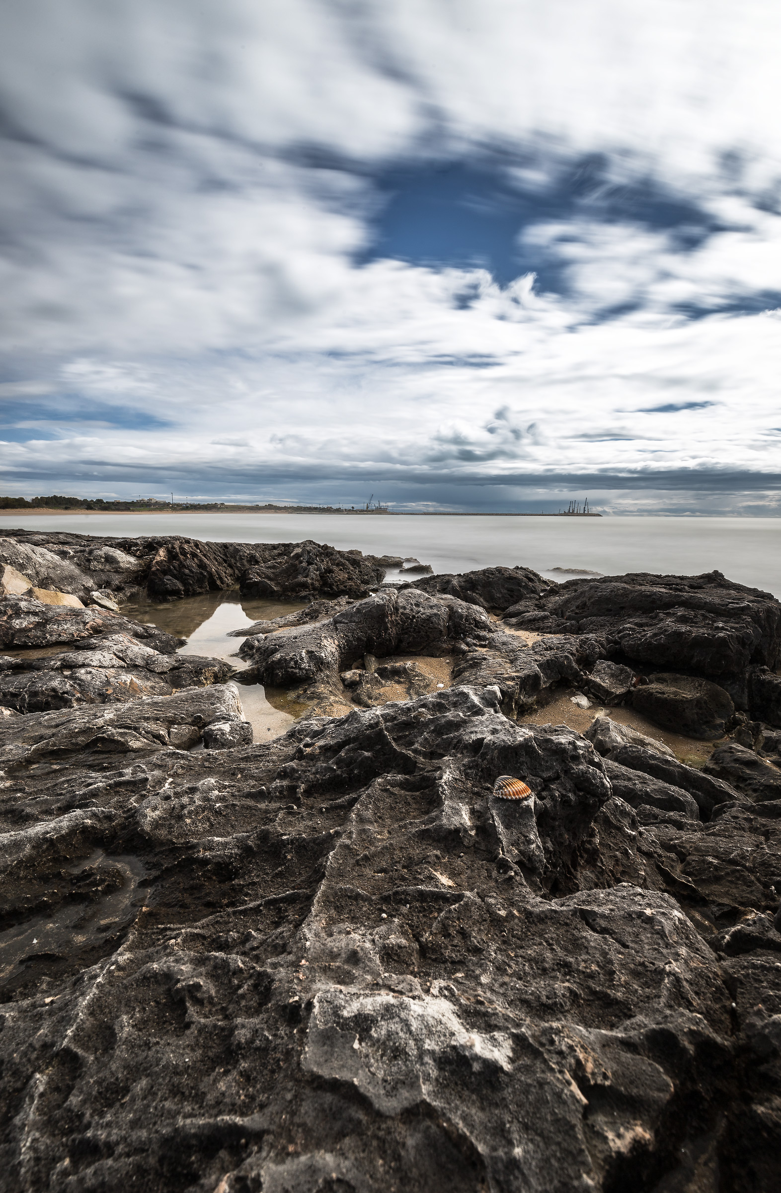 The shell that survived the storm