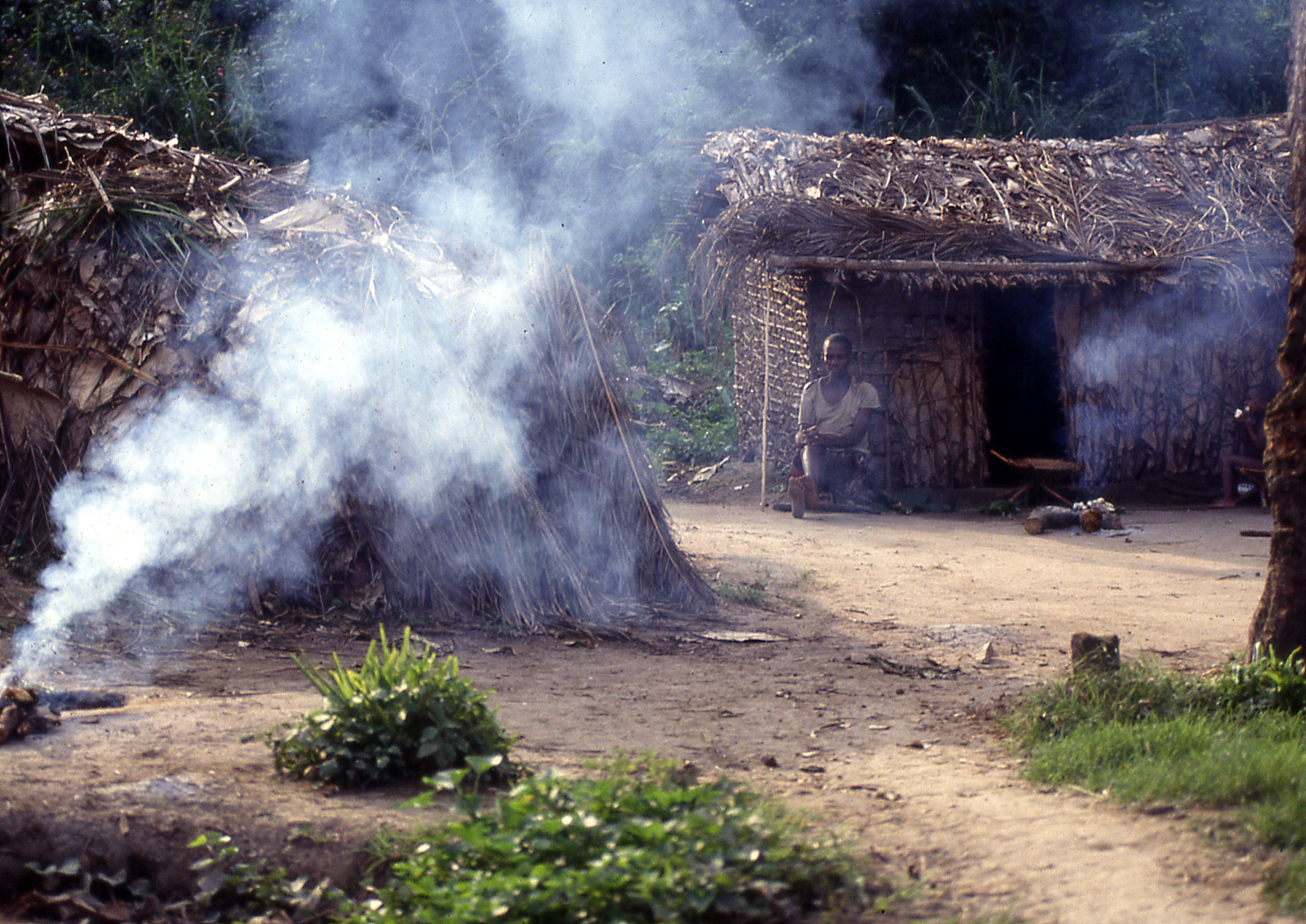 Pygmy village