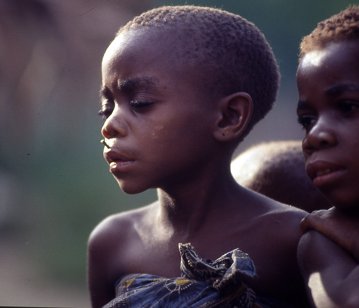 Other componemti village