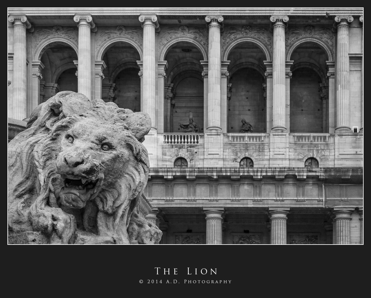 The Lion