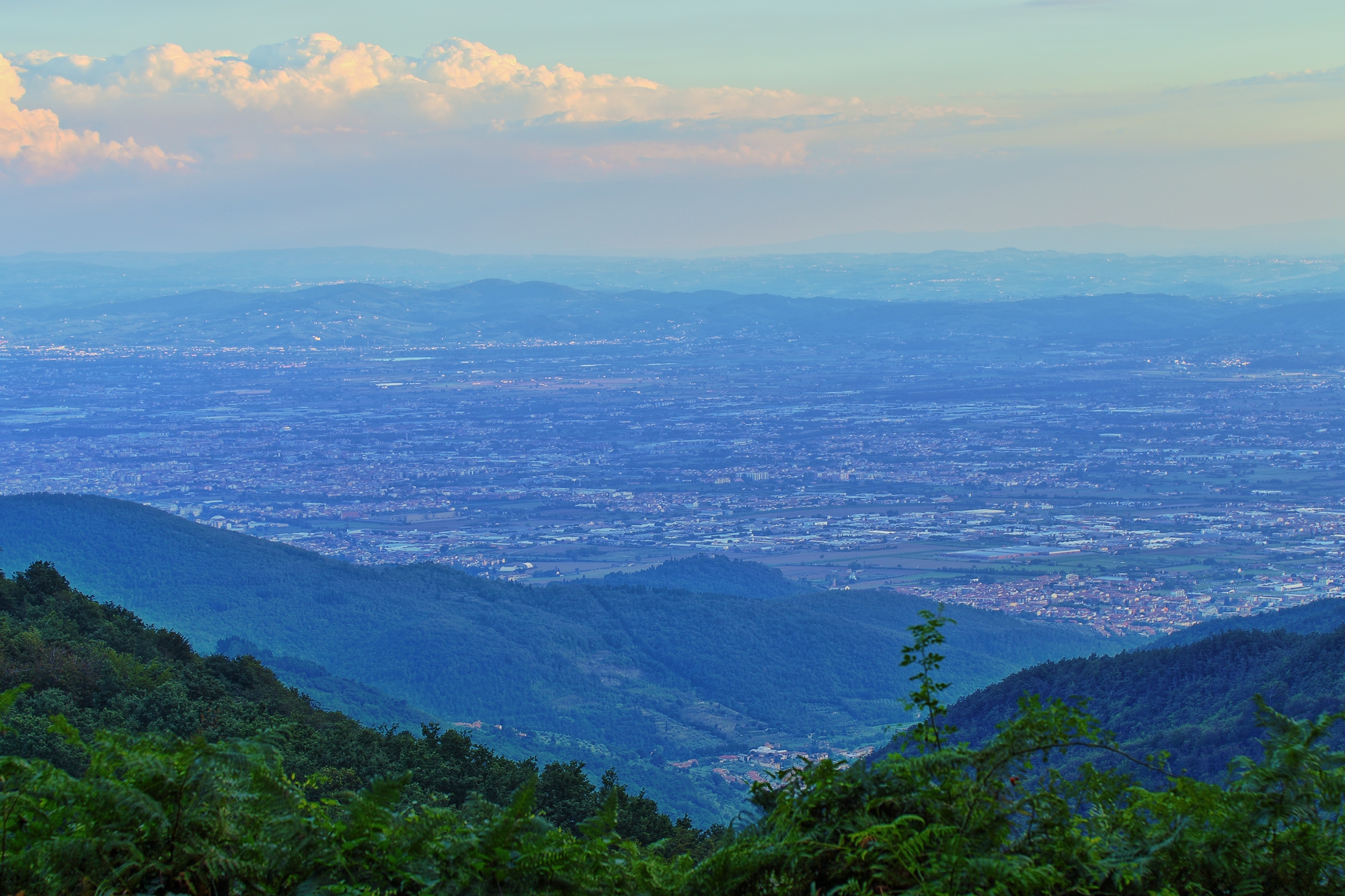 Parco Acquerino Cantagallo