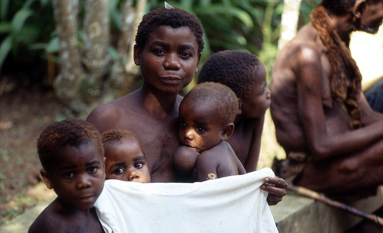 Family Group village Pygmies