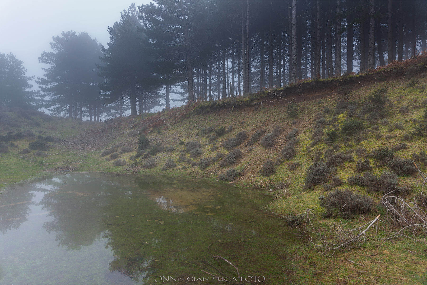Fog in the Rain! ! !
