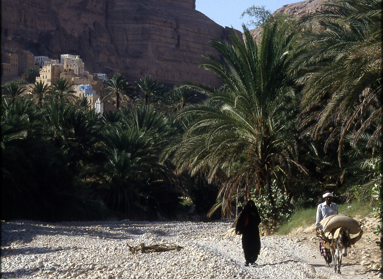 Wadi - Road and stream