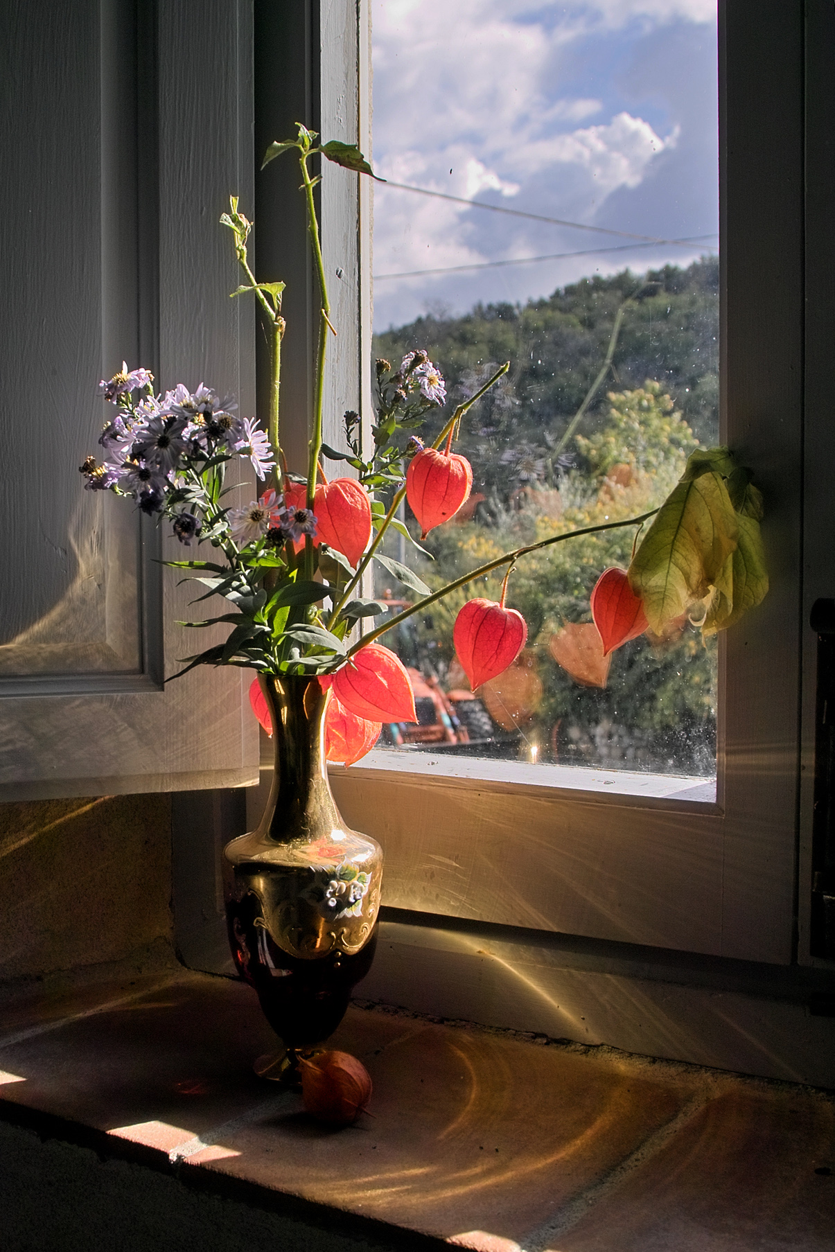 Flowers in the window