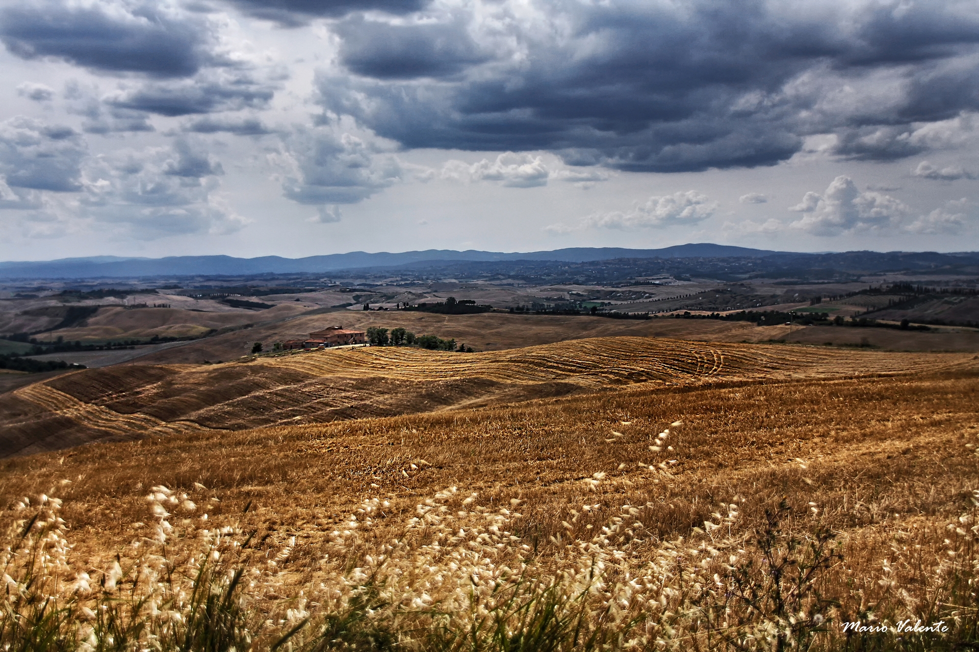 Luci ed ombre sulla campagna