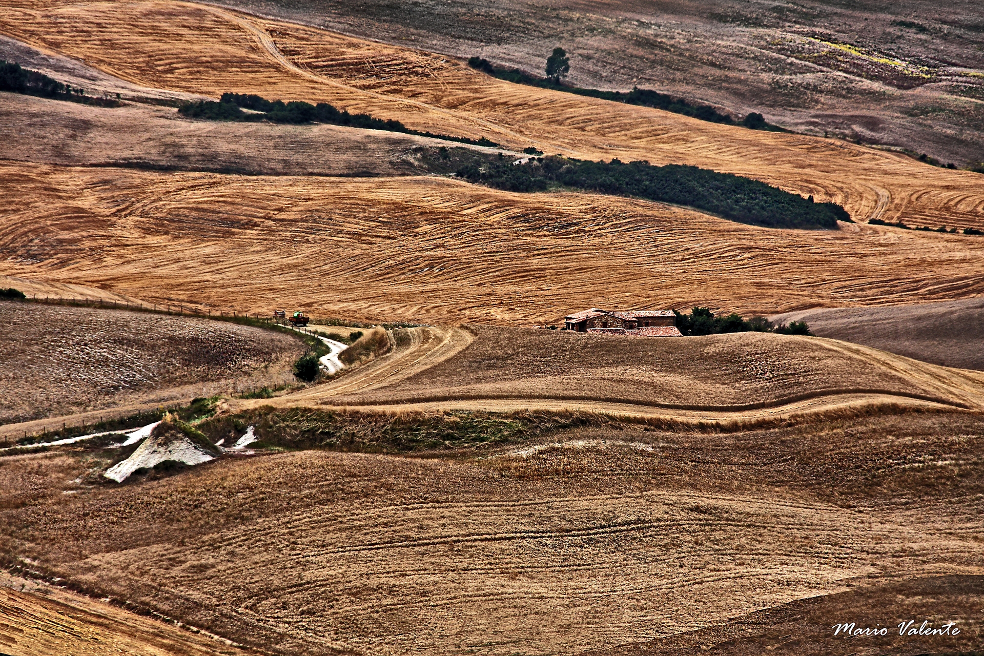 Lavori nei campi tra le crete affioranti