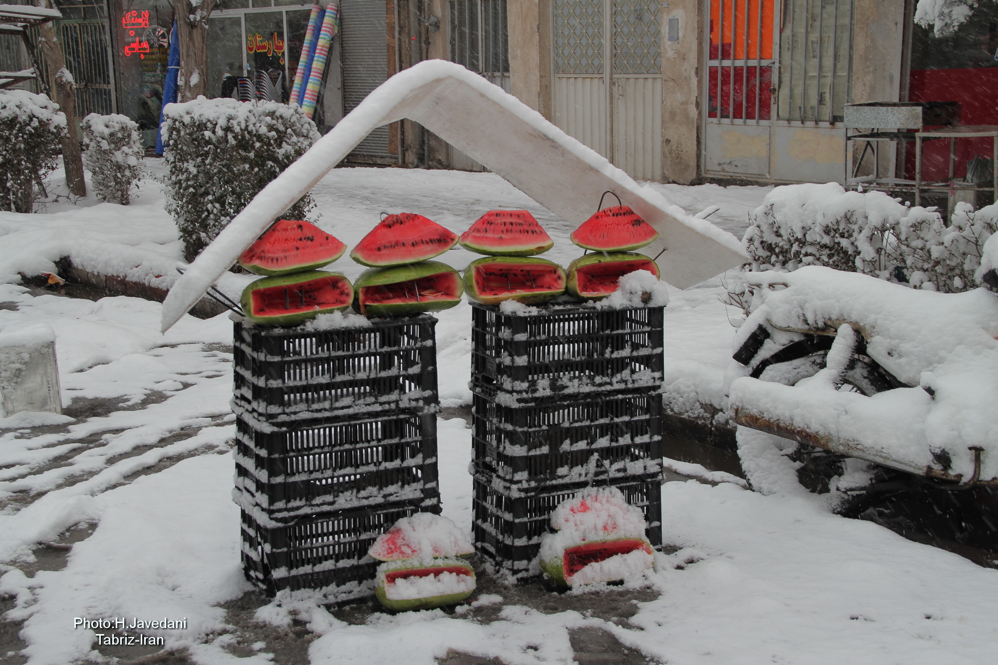 Watermelon & Winter !