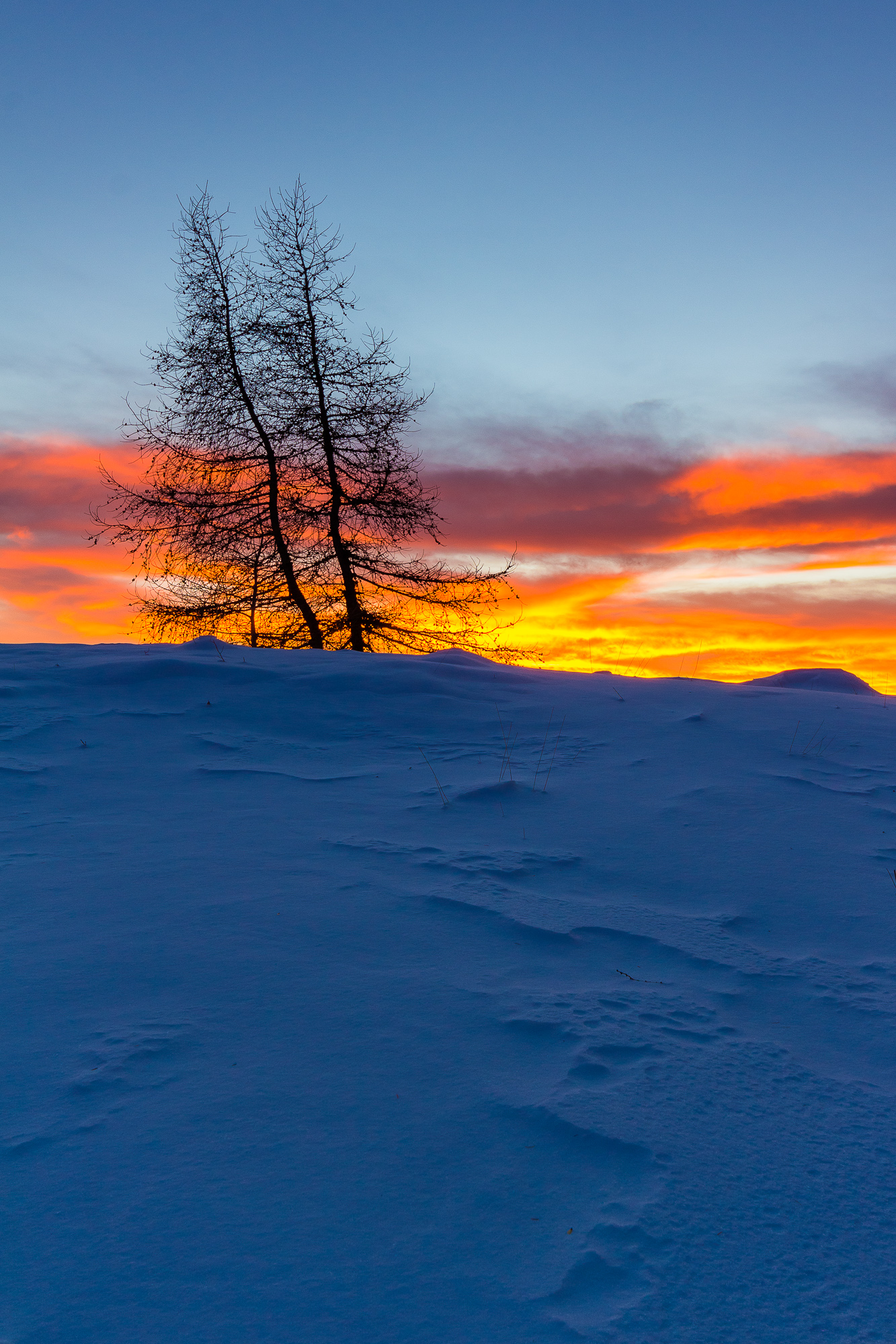 I due innamorati, abbracciati, guardano il tramonto