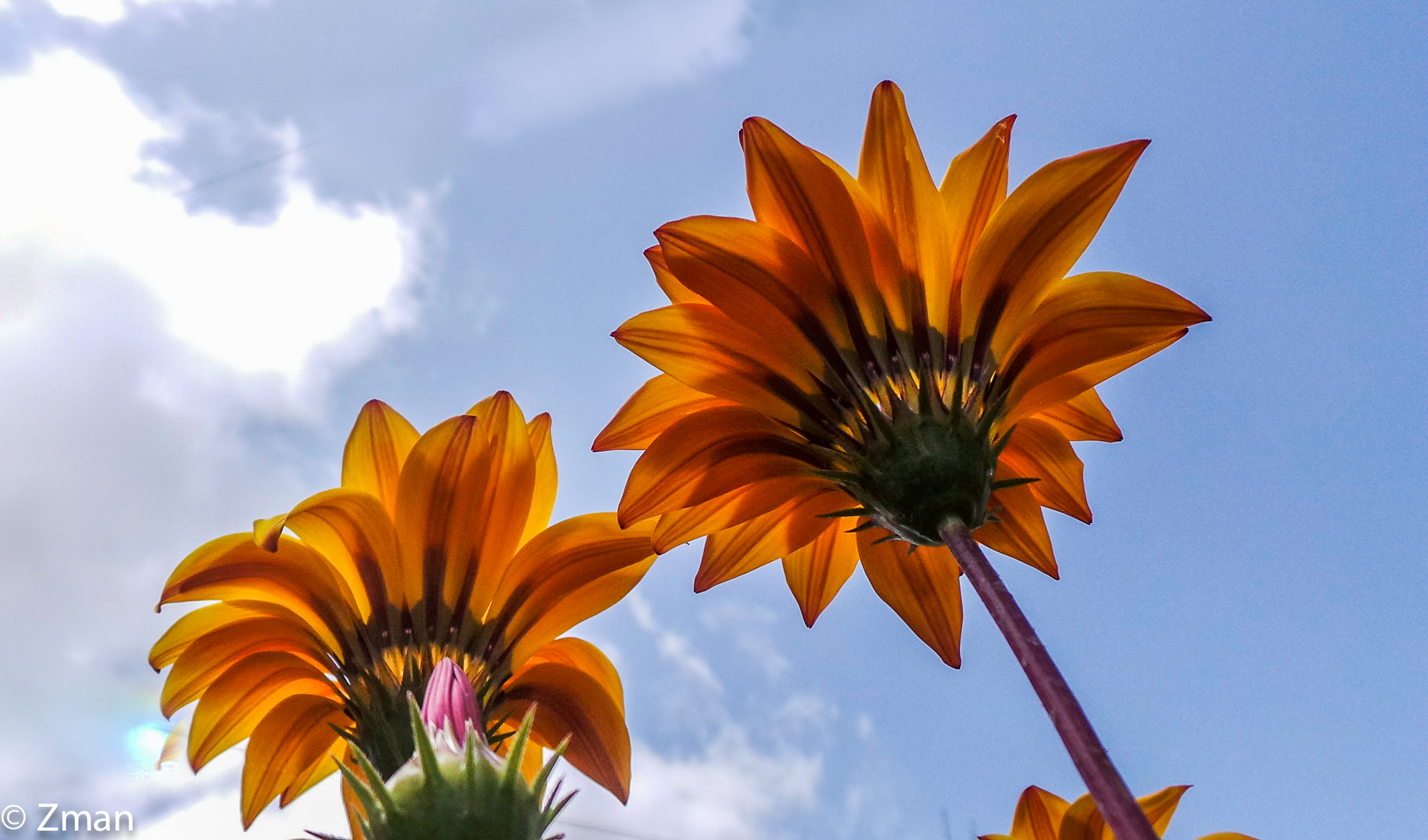 Raggiungendo per la Luce