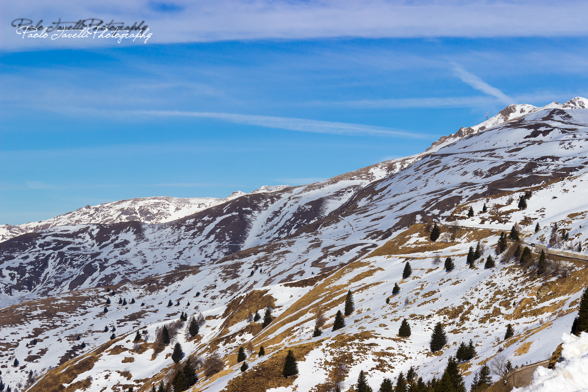 mountain spotted