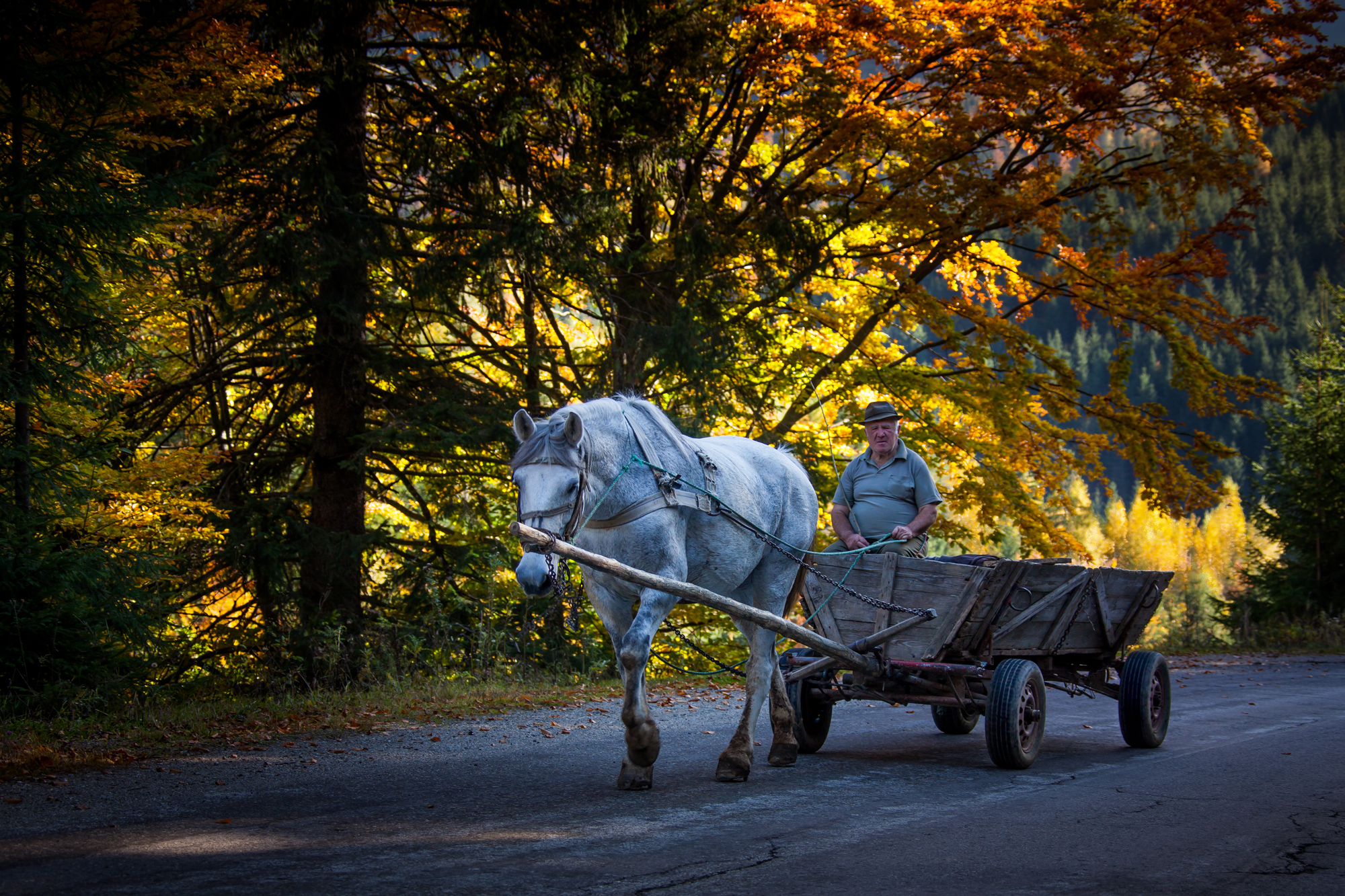 Maramures - Borsa