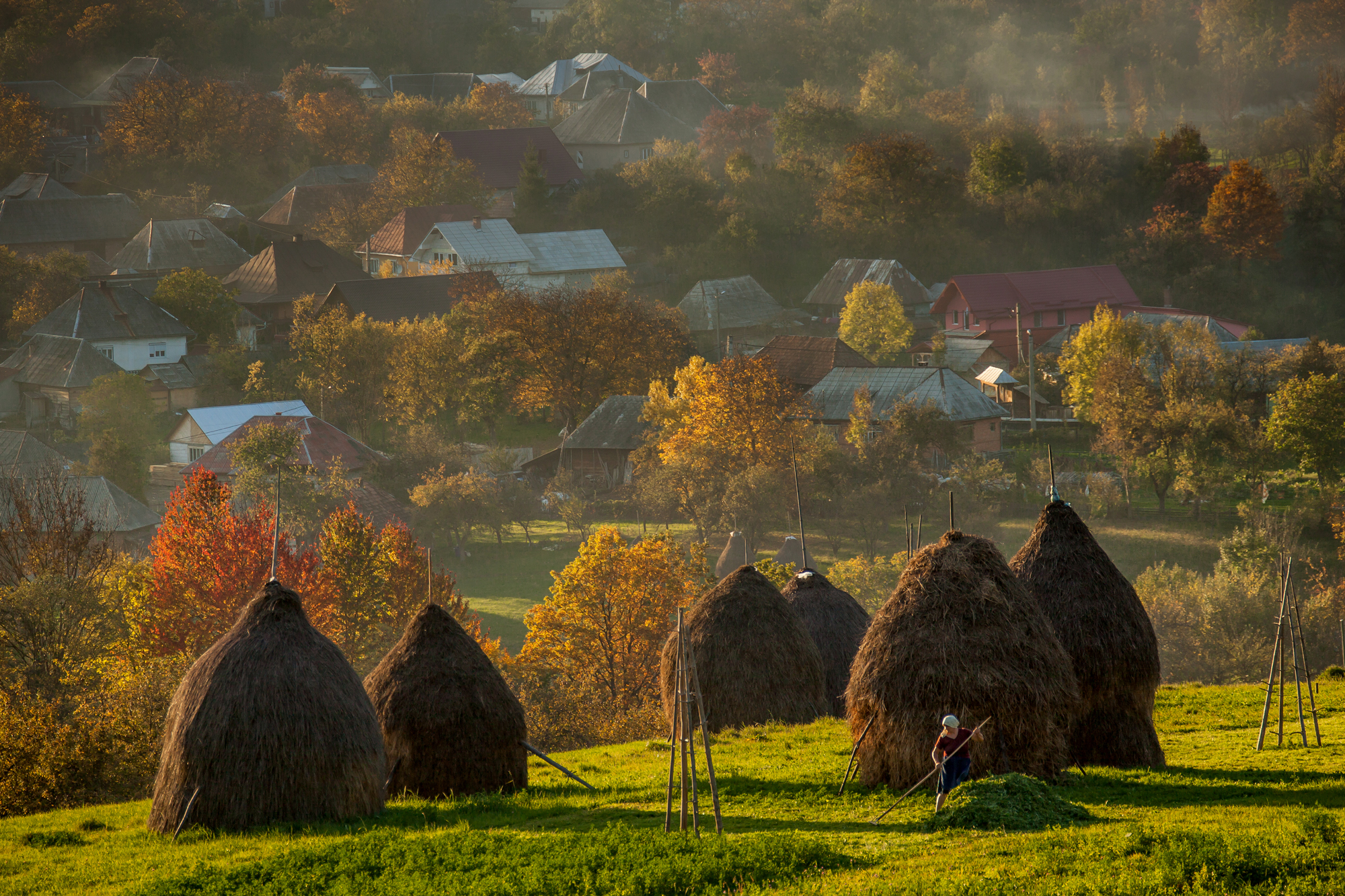 Maramures - working