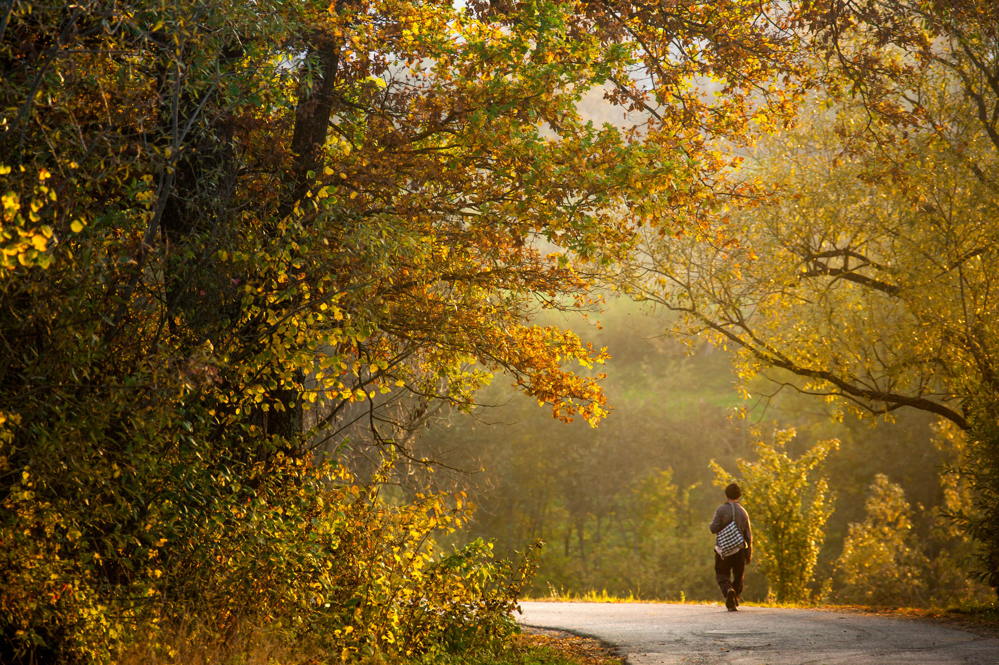 Maramures - on the road