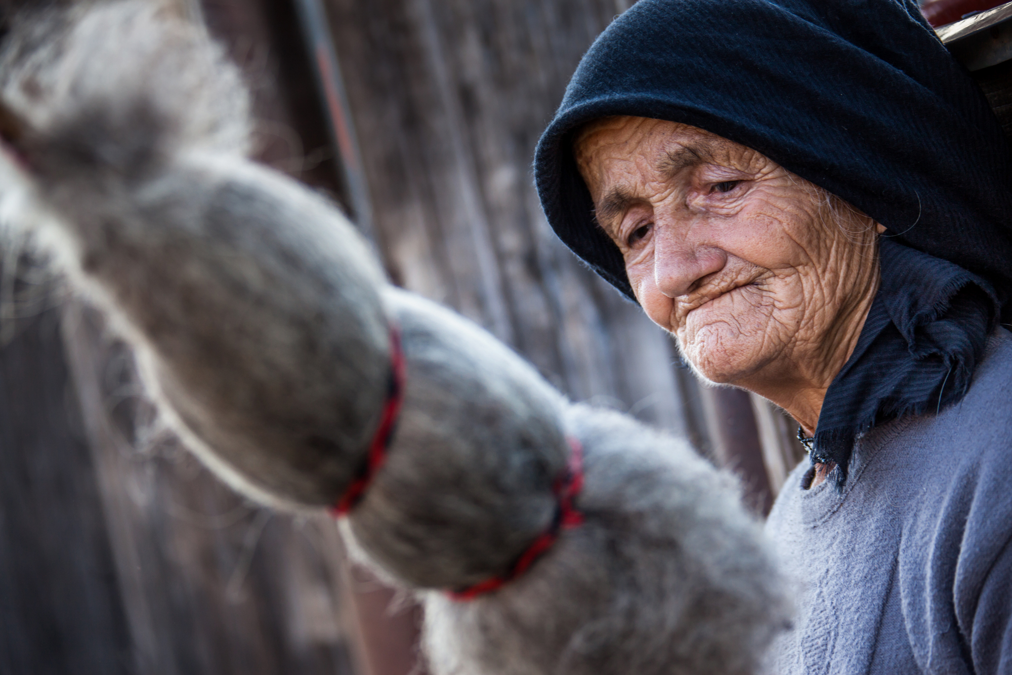 Maramures - spinning wool