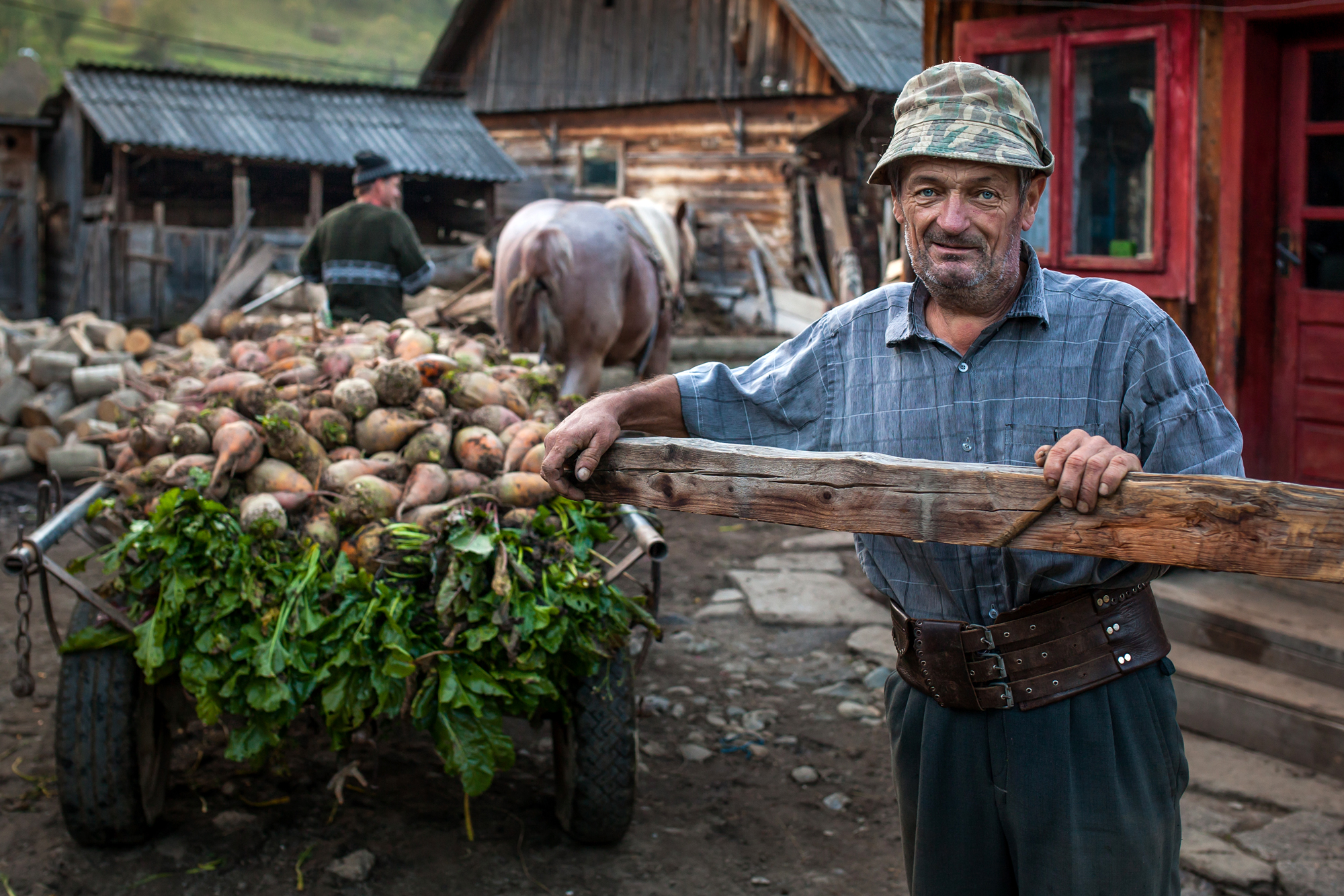 Maramures - harvest