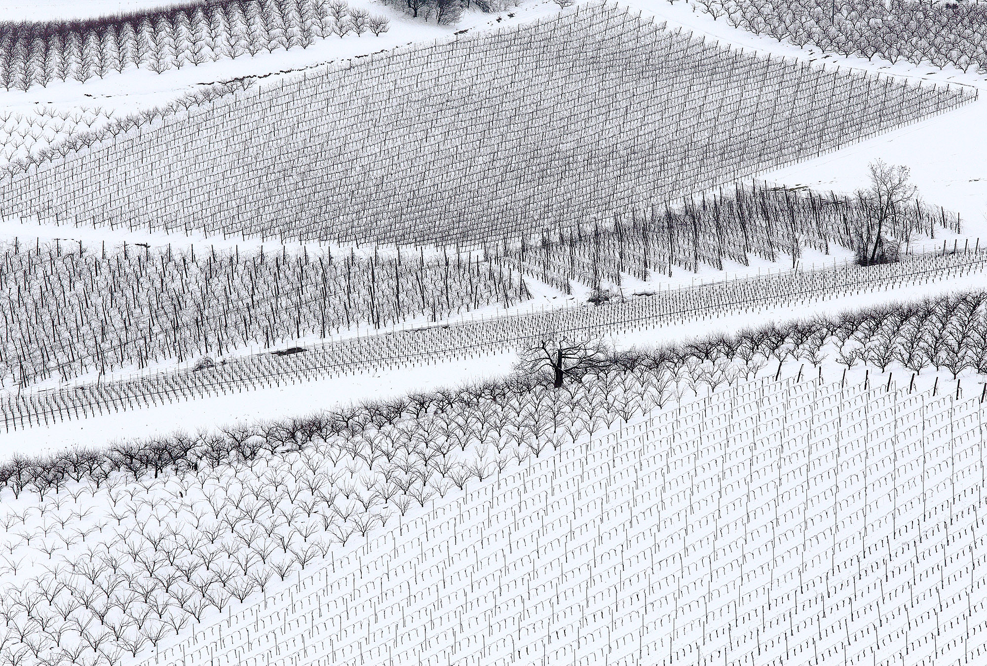 Geometries of snow n. 5
