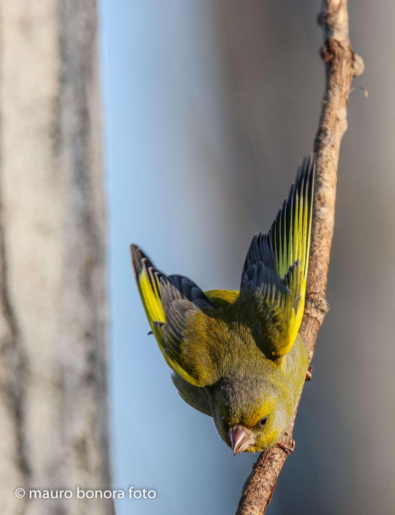 Verdone 10, in piacchiataaaa!!!!