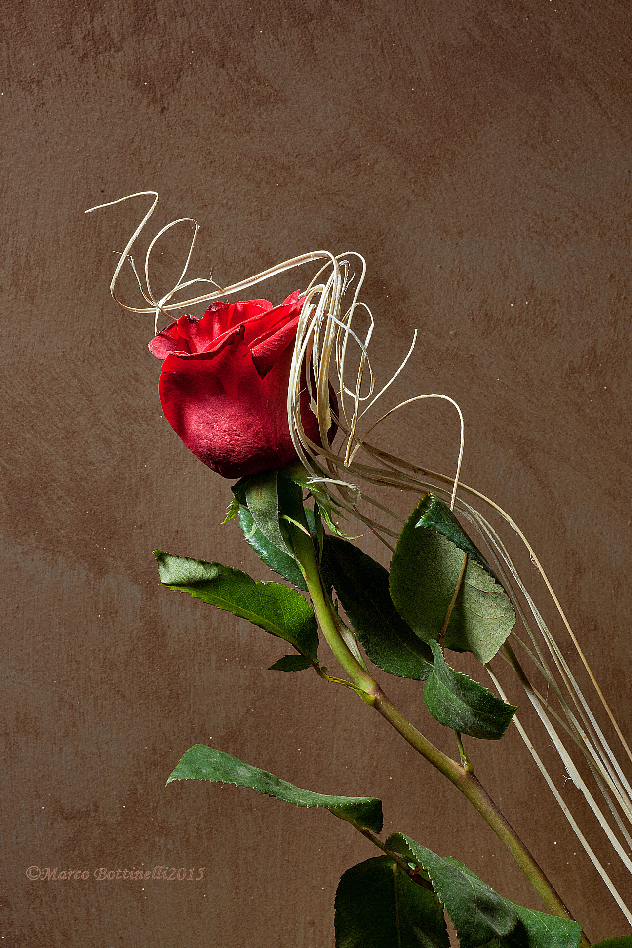 Dedicated to all women