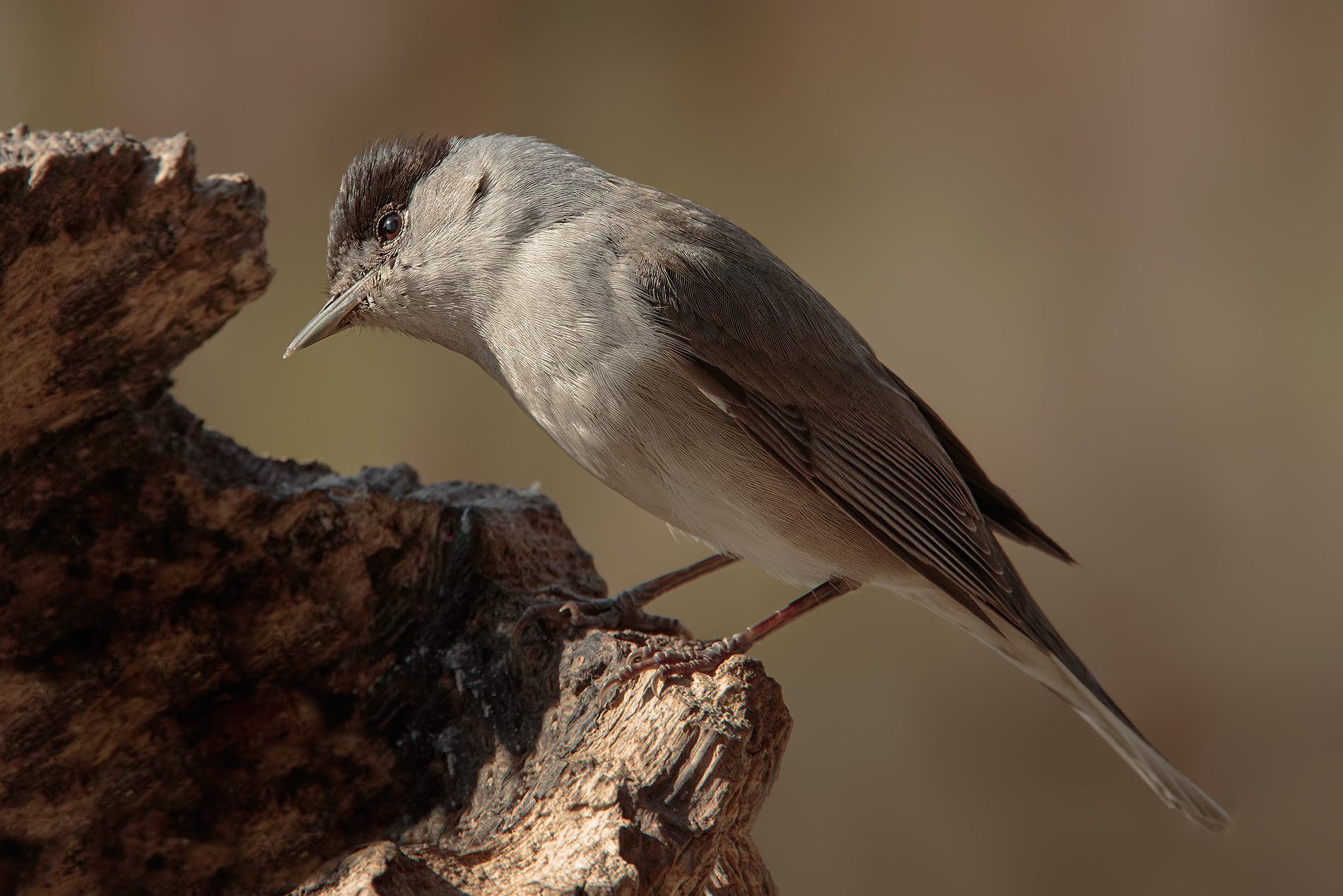 ...da moooolto vicino..!!!!