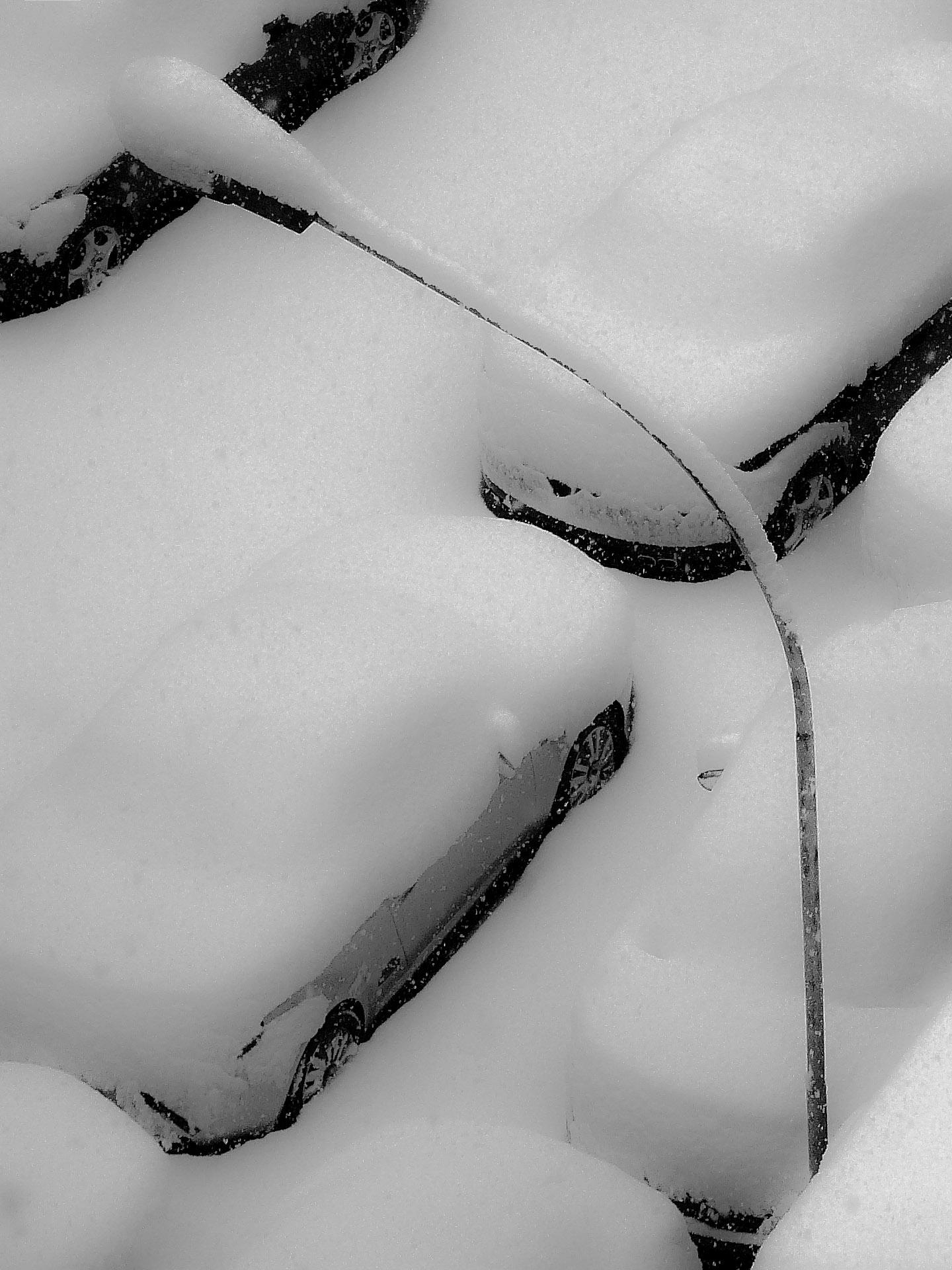 forms white and black shapes .............