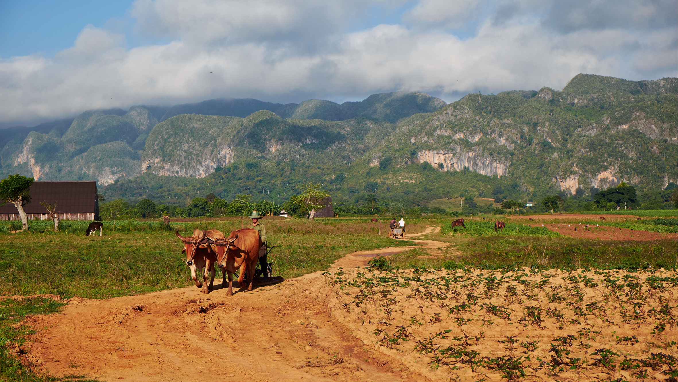 Cuba - Vinales Valley