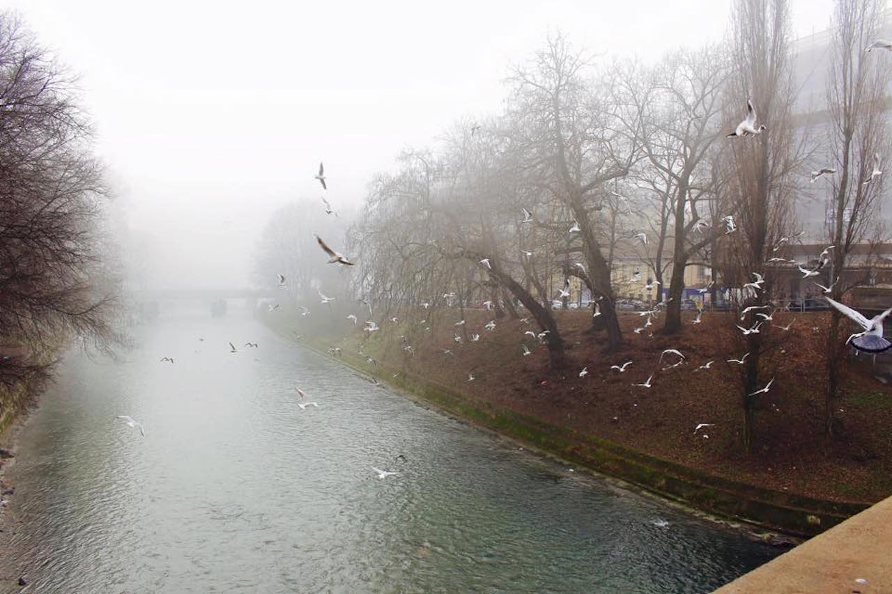 Volaaaareeeee ohhh ohhh