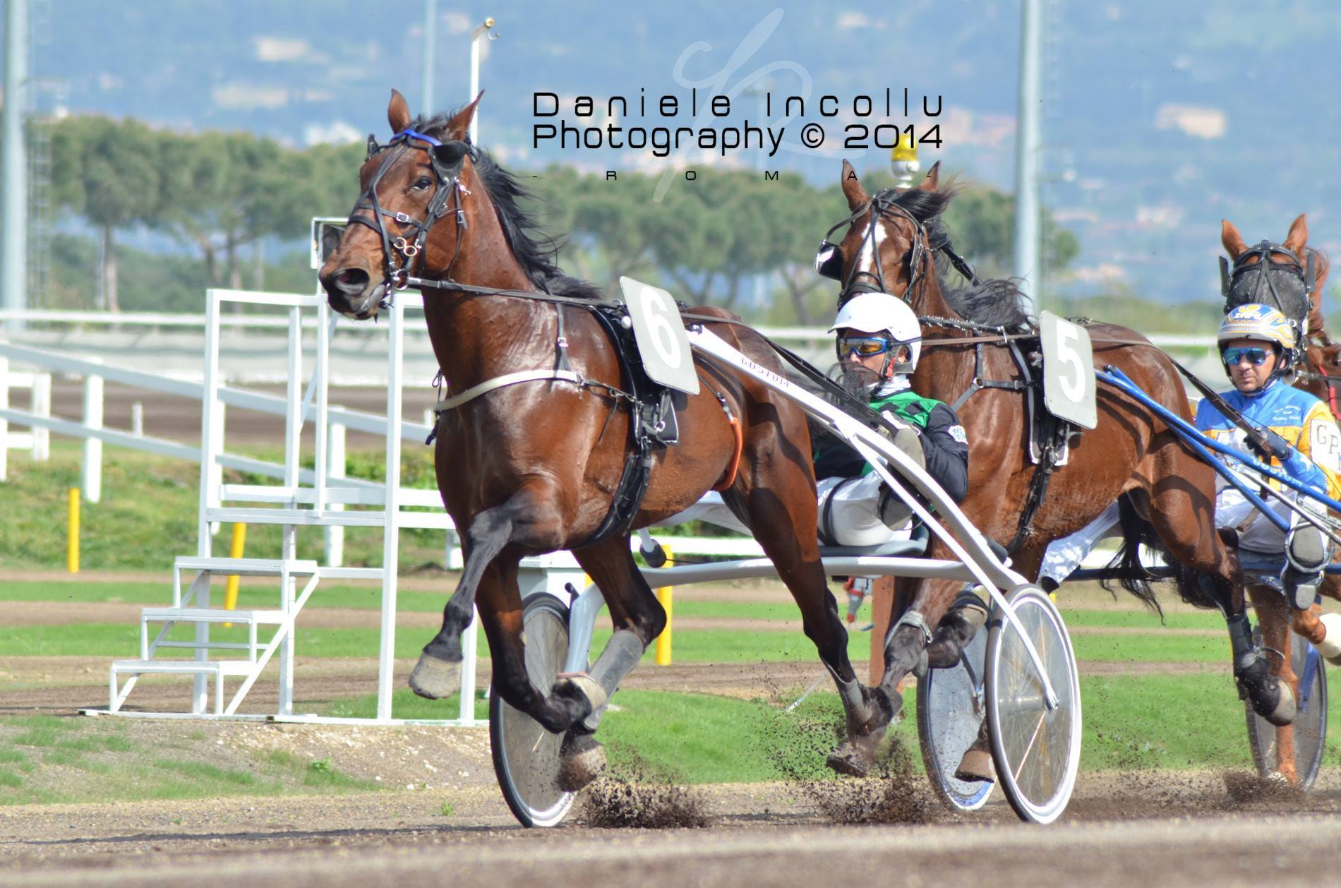 prima giornata di corse al trotto a capannelle