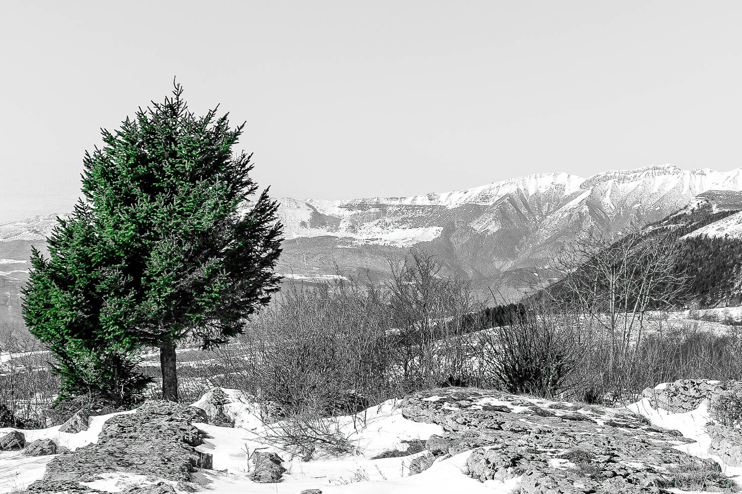 Malga dart - Lessinia