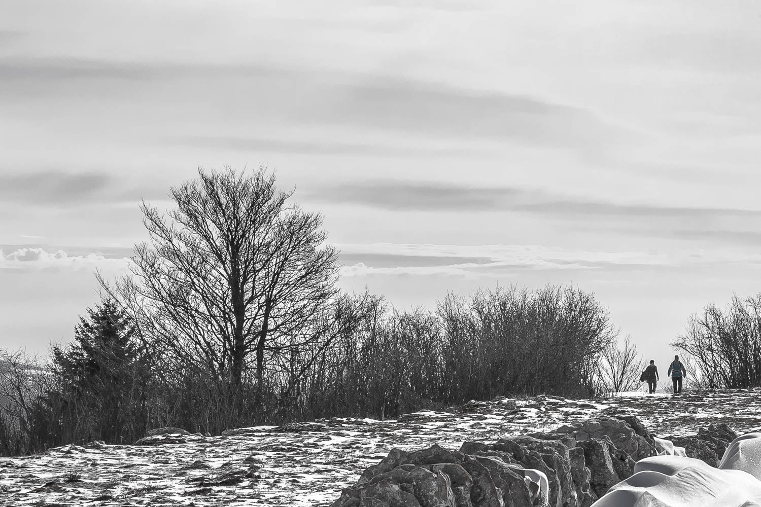 Malga dart - Lessinia