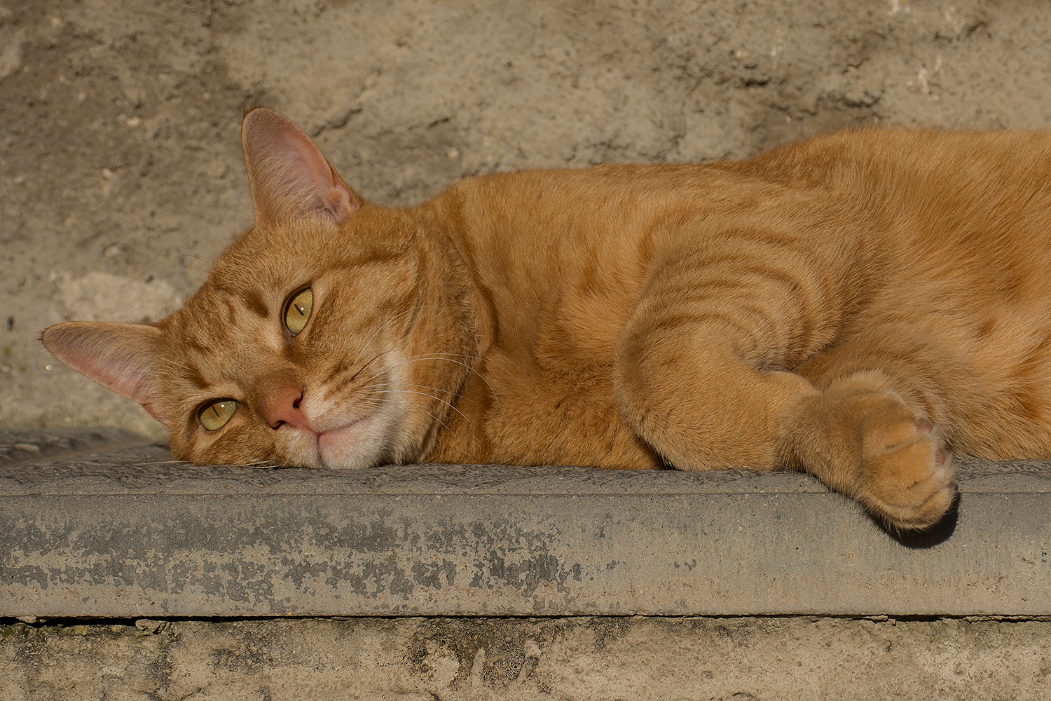 Che bello stare al sole