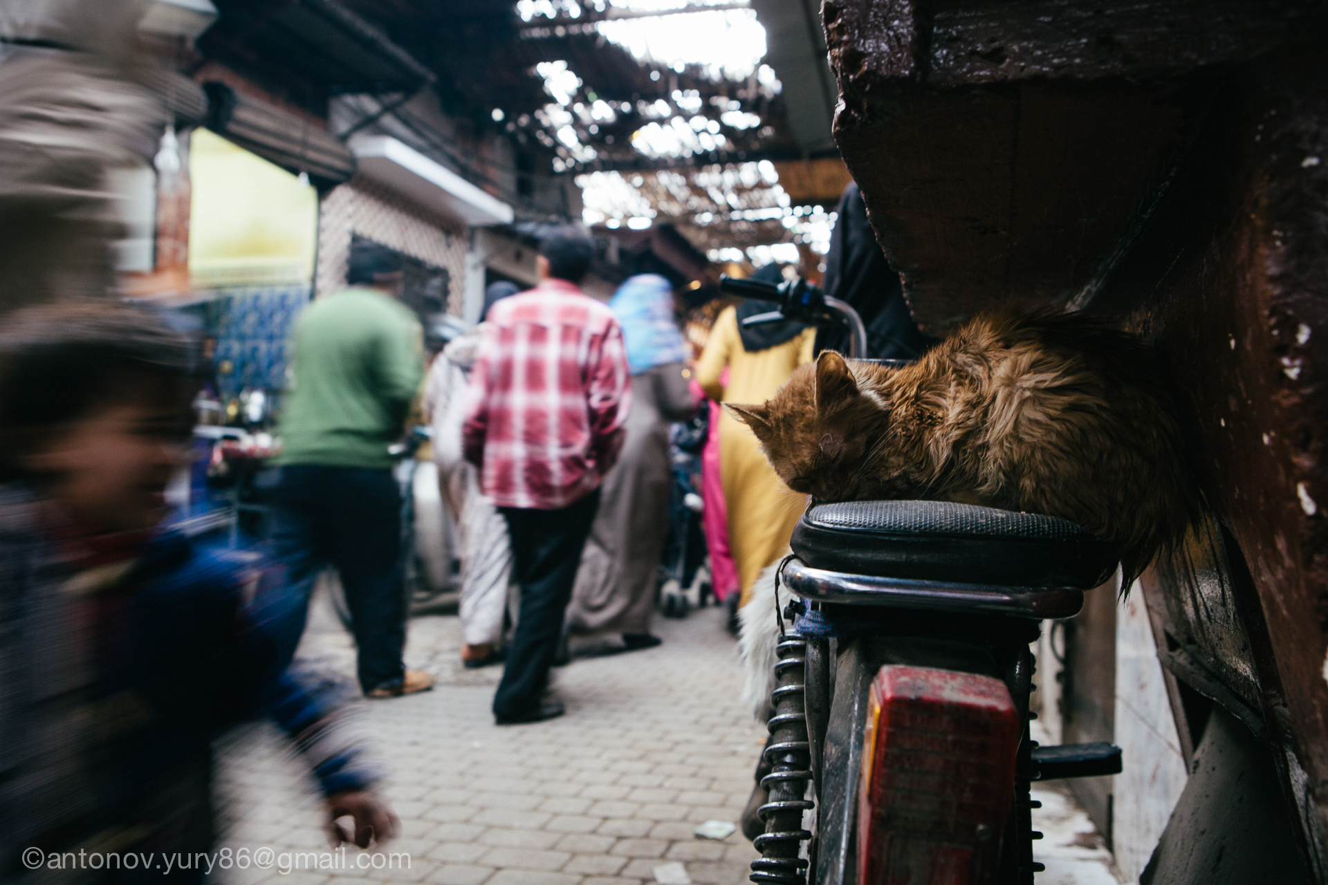Marrakesh. Nel mercato