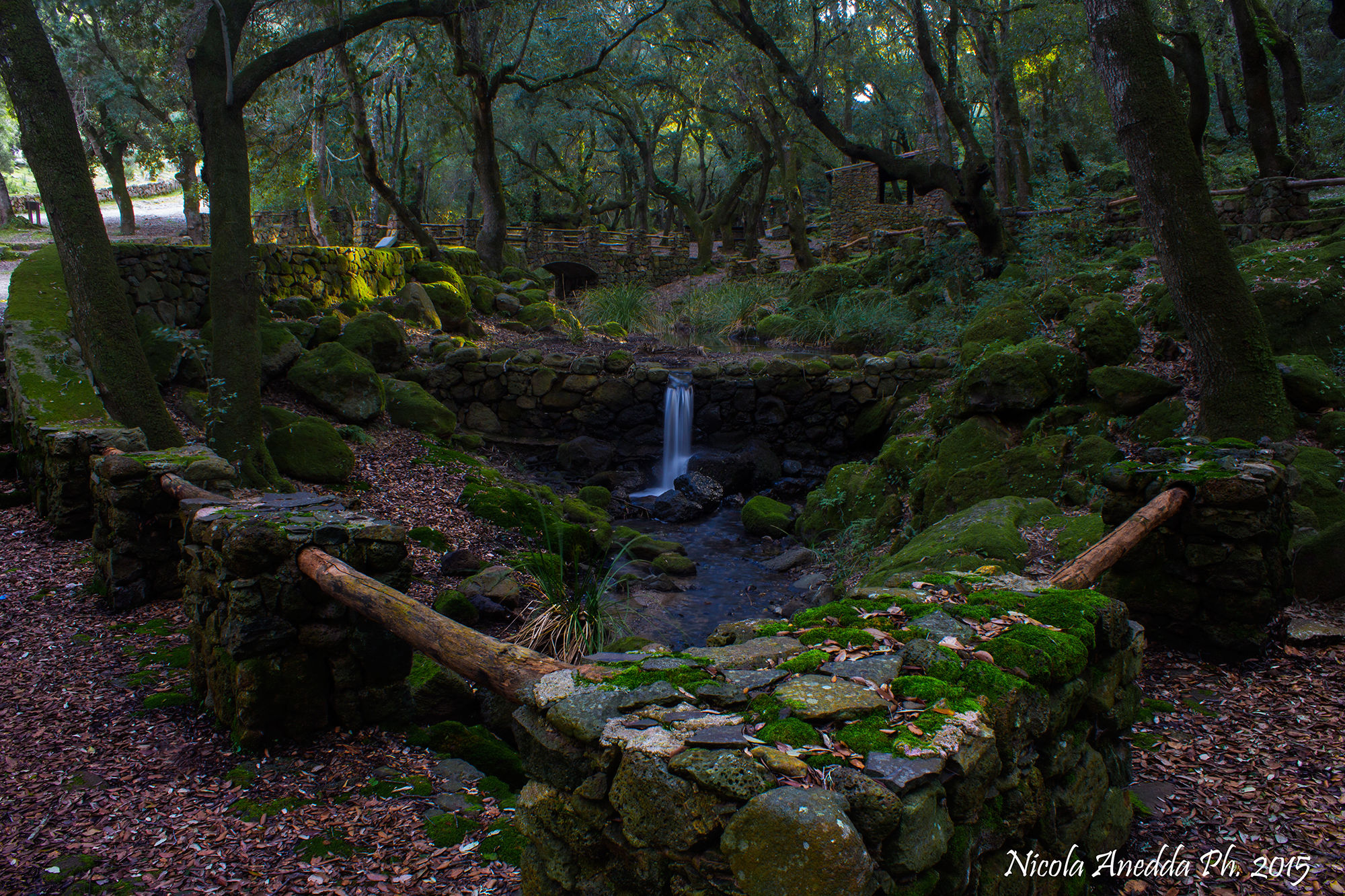 Park at the Monte Arci