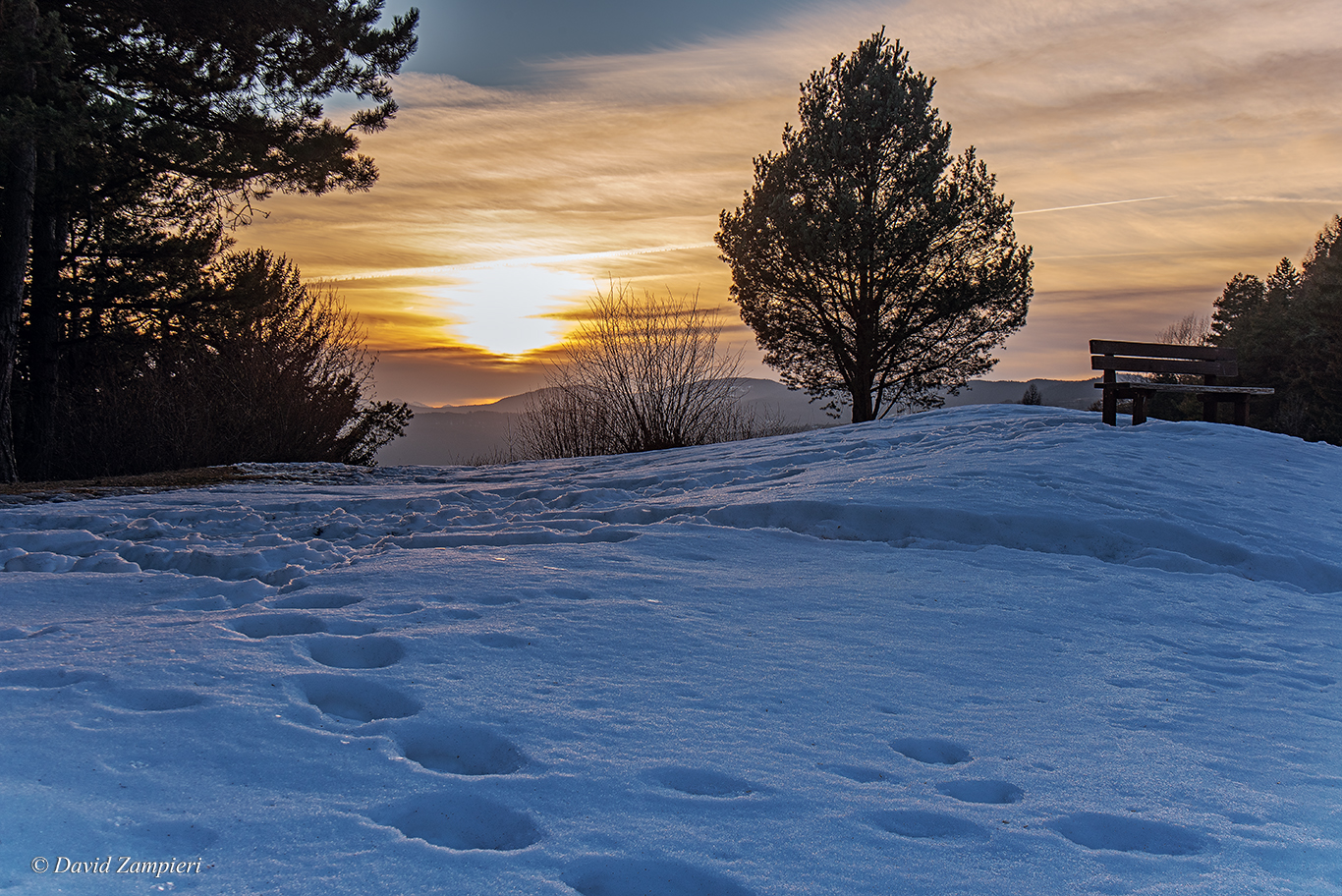 step by step the thought rises