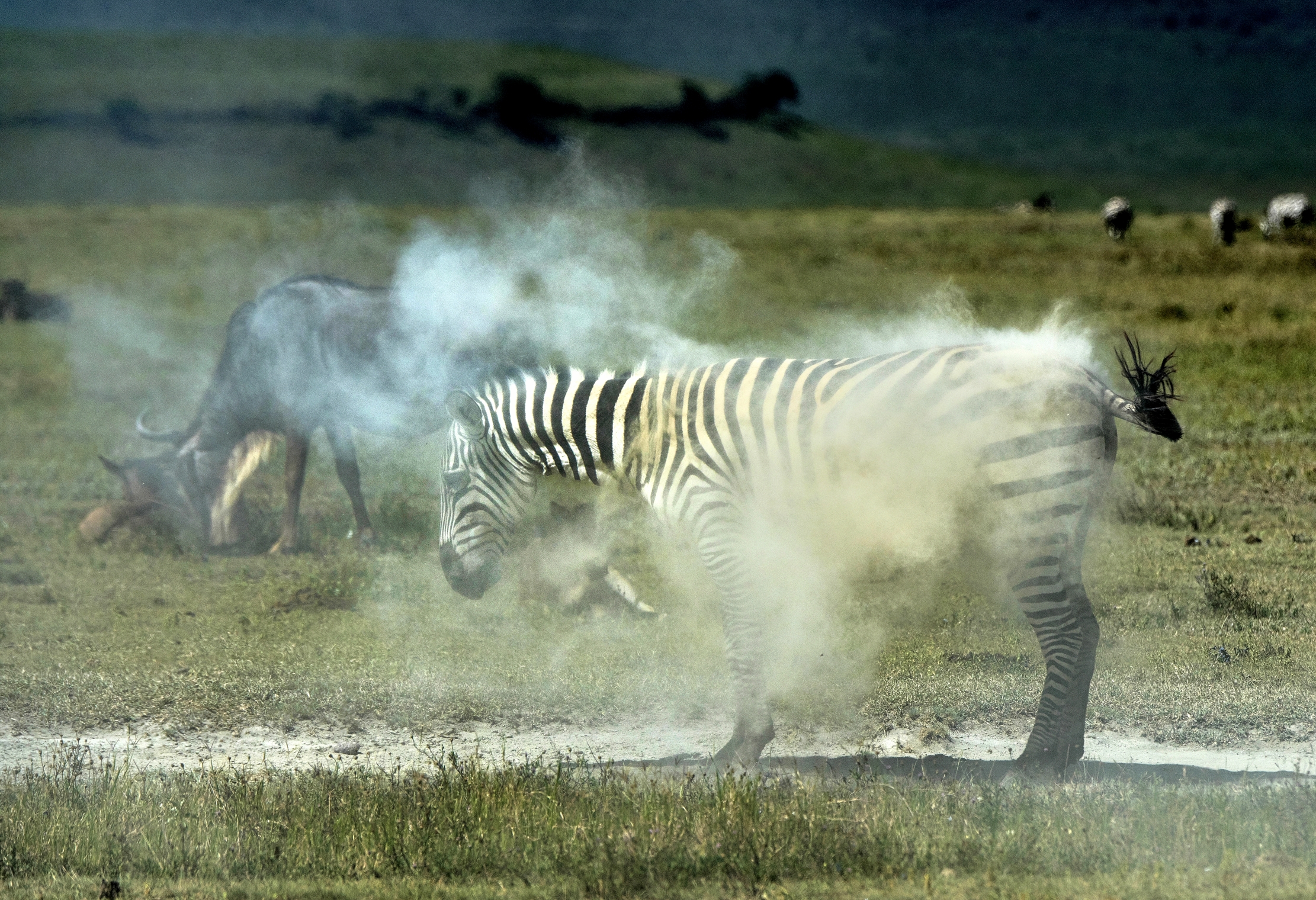 Tanzania 2015 - Quanta polvere!