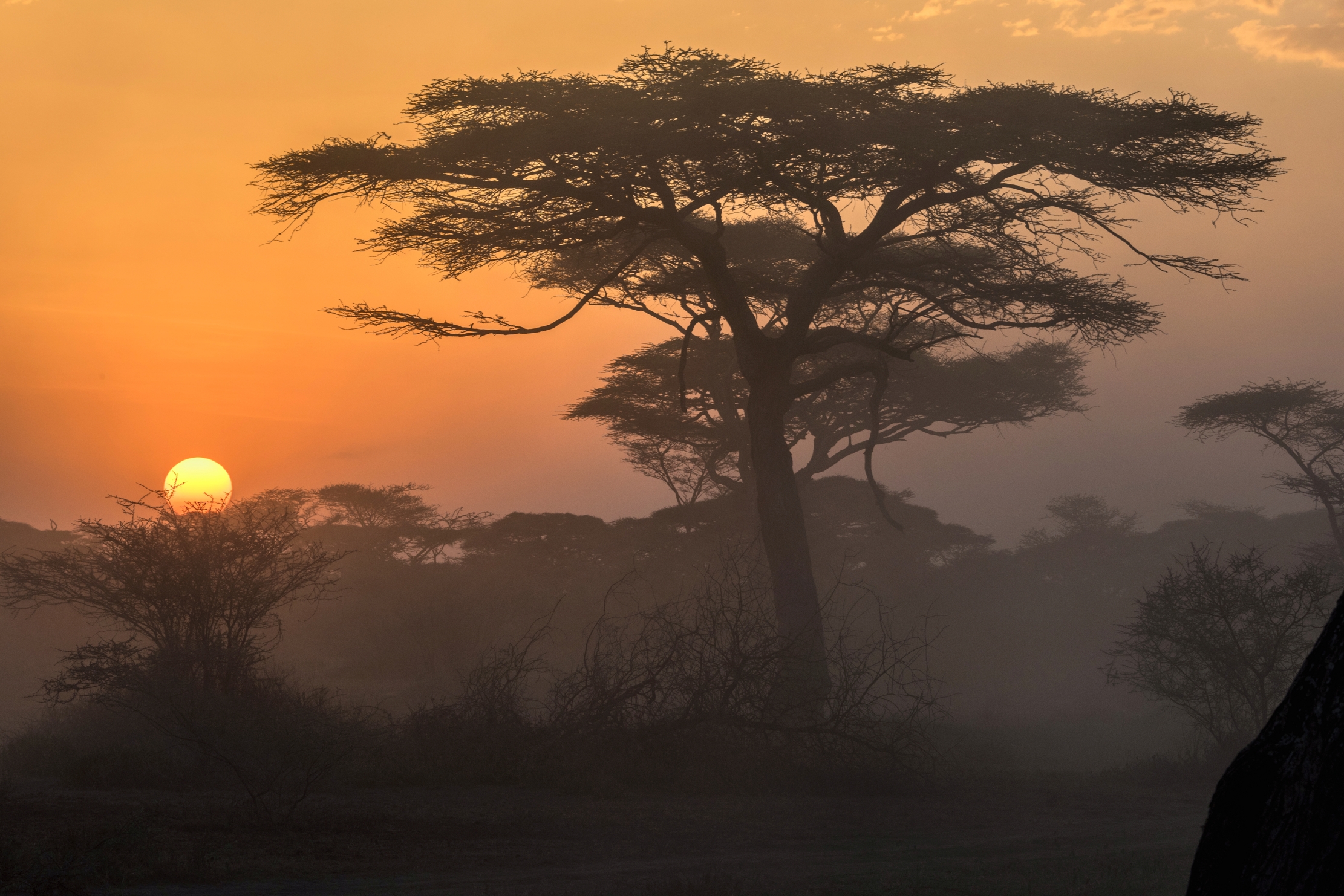 Tanzania 2015 - Tramonto