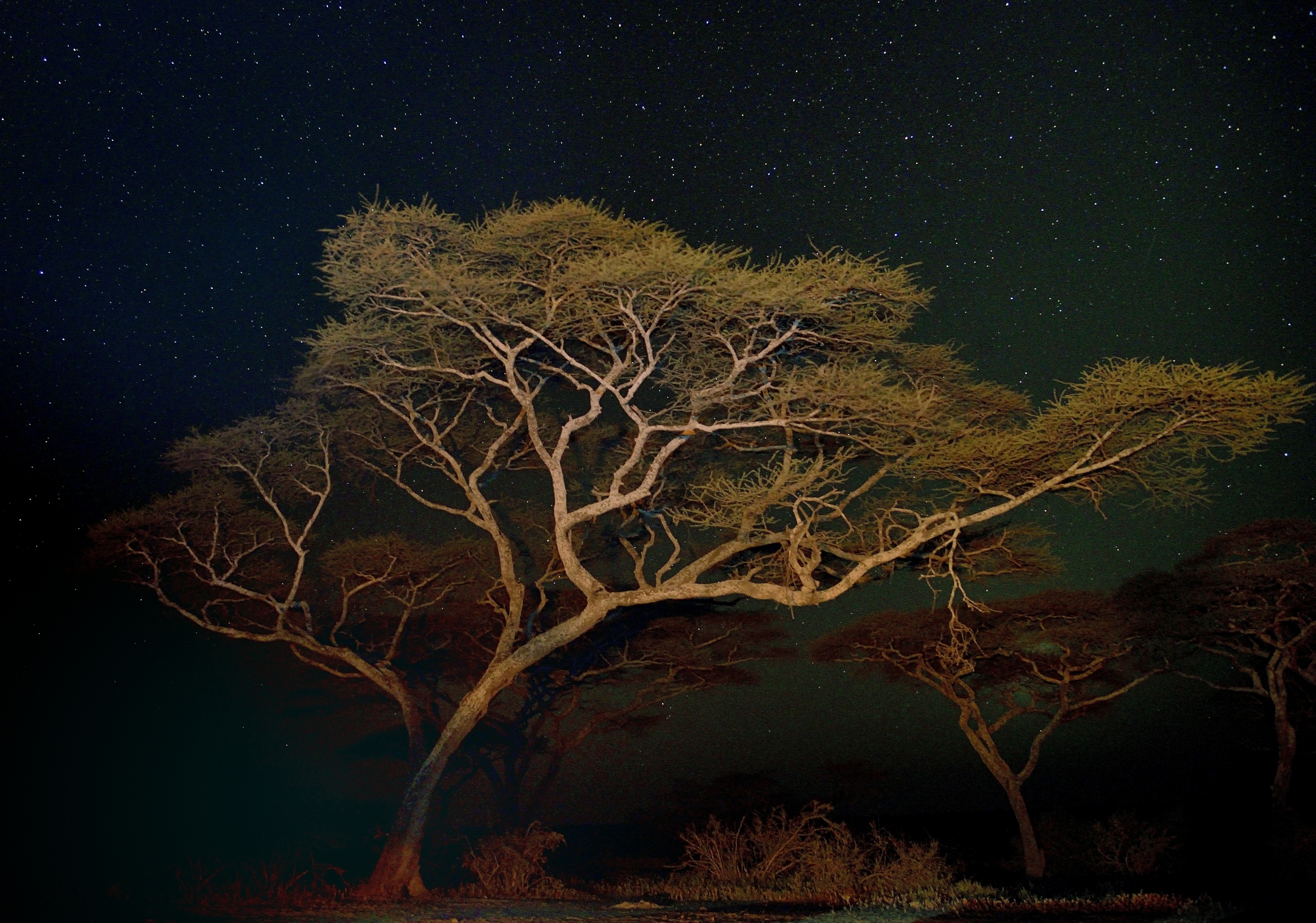 Tanzania 2015 - Notturno a Ndutuo