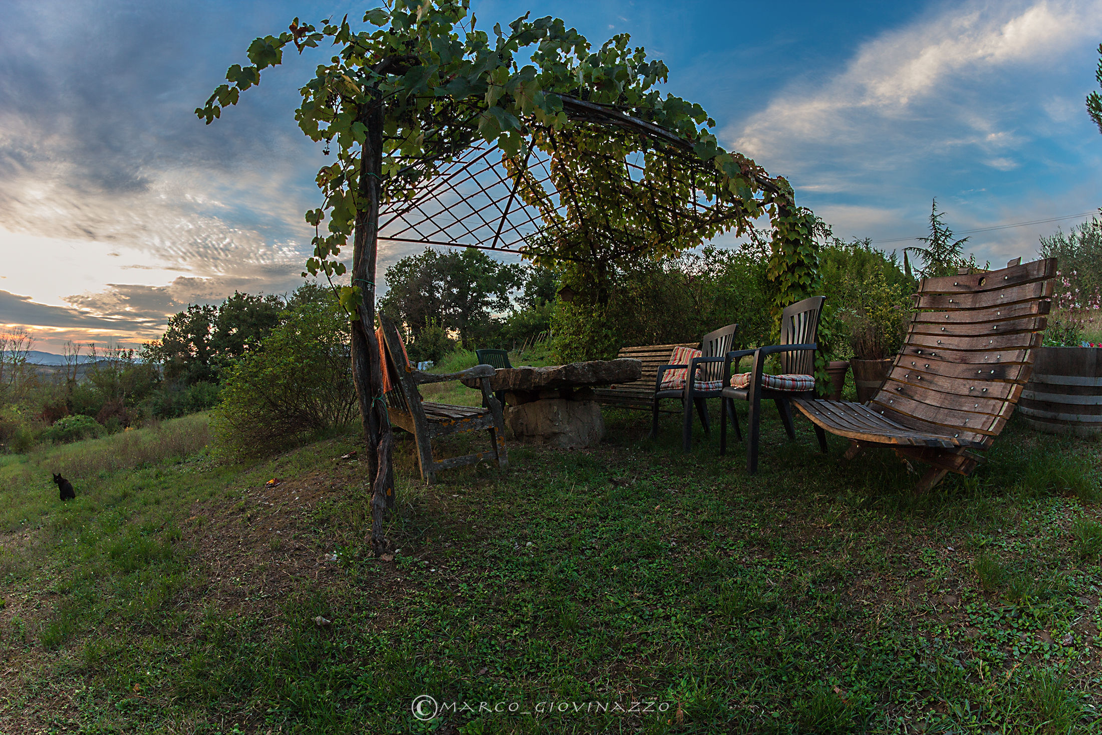 relax in the countryside