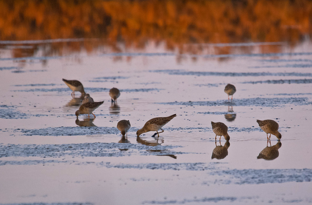 Breakfast at 'Dawn in the Valley
